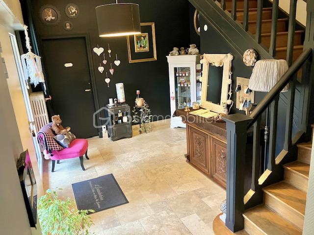 demongeot hall 1 du salon.jpeg