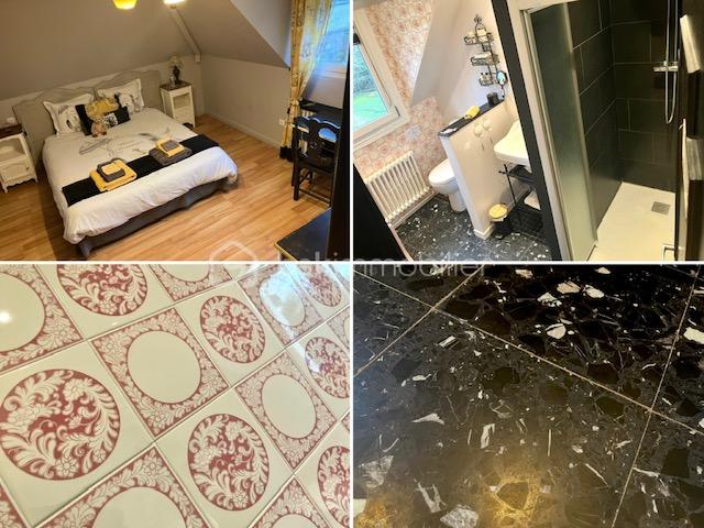 demongeot amalgame chambre noire.jpg