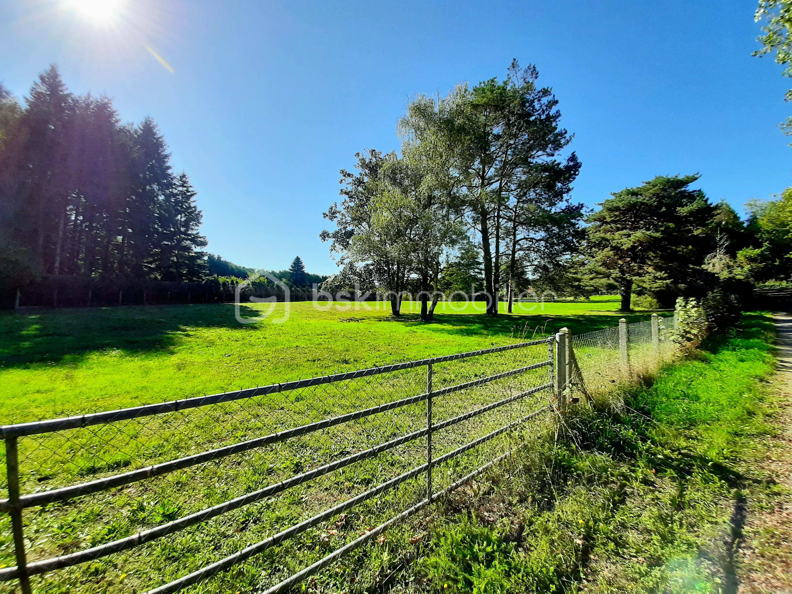 Lotissement de 4 690 m² - 20250920_064001.jpg