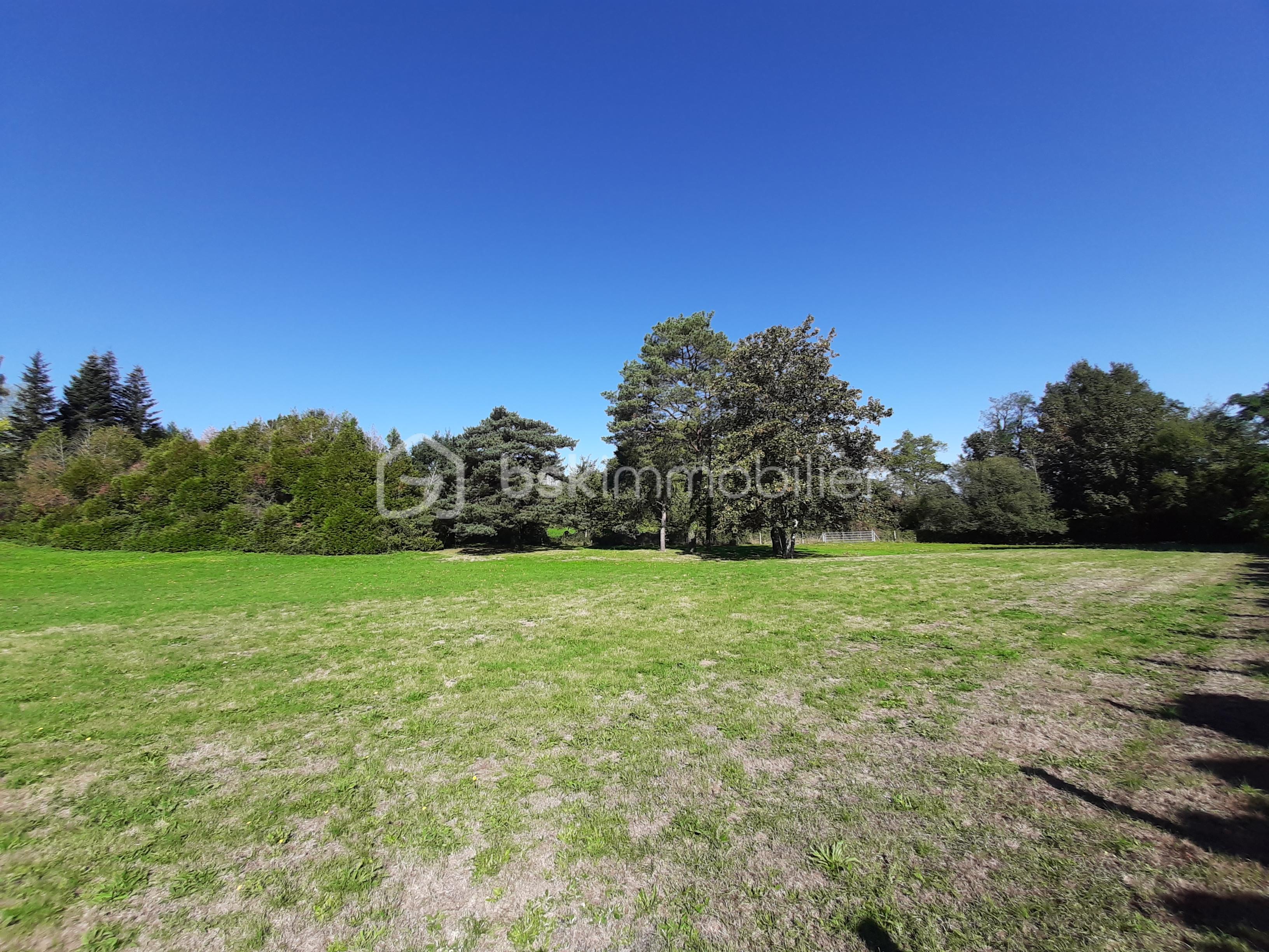 Lotissement de 4 690 m² - 20250918_113905.jpg