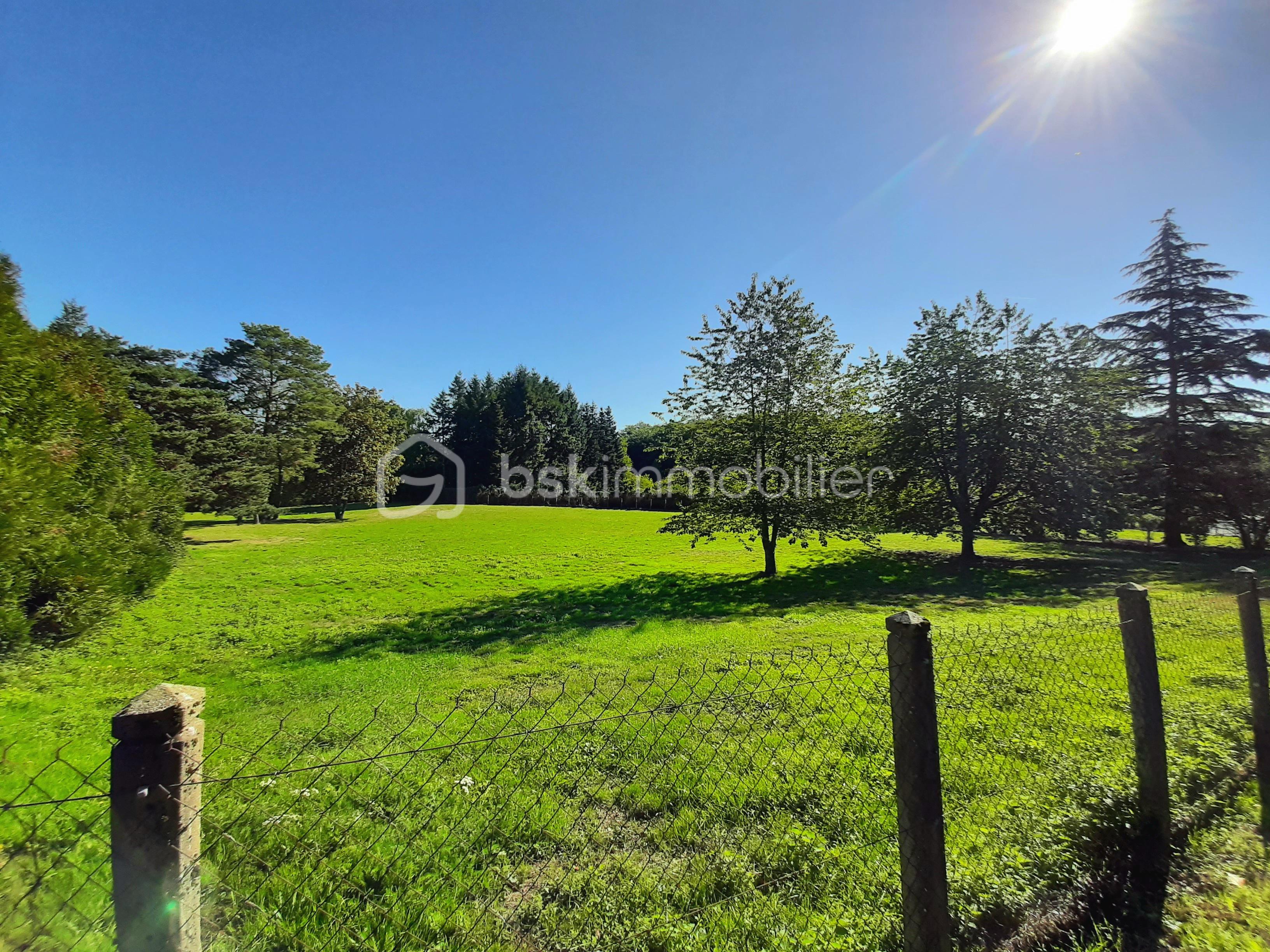 Lotissement de 4 690 m² - 20250920_063835.jpg