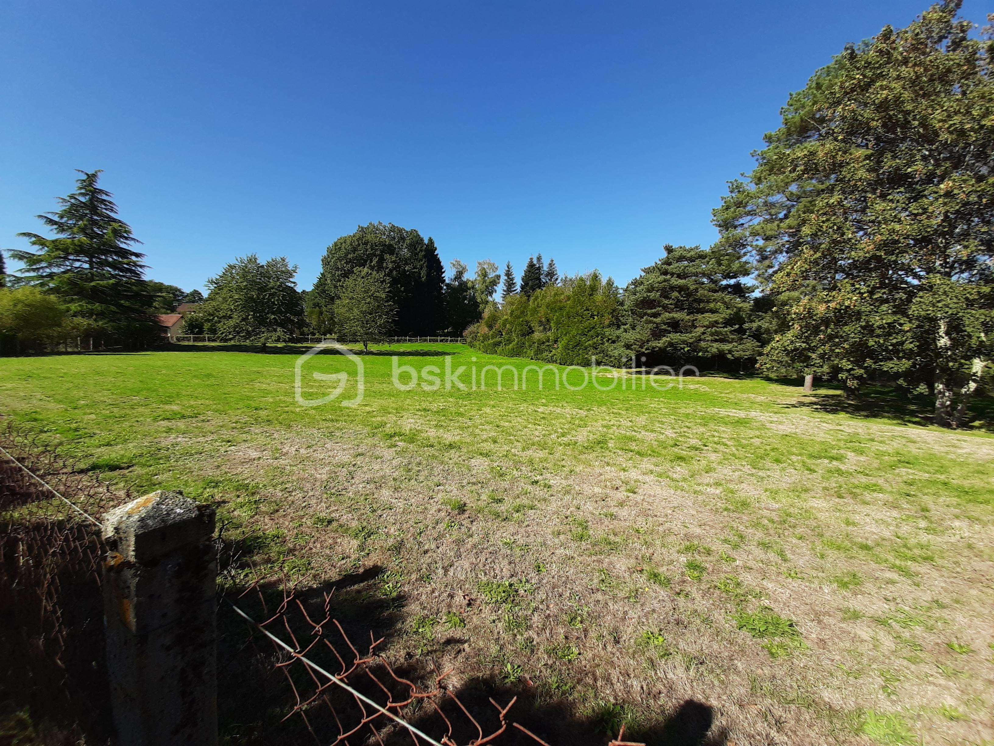 Lotissement de 4 690 m² - 20250918_113405.jpg