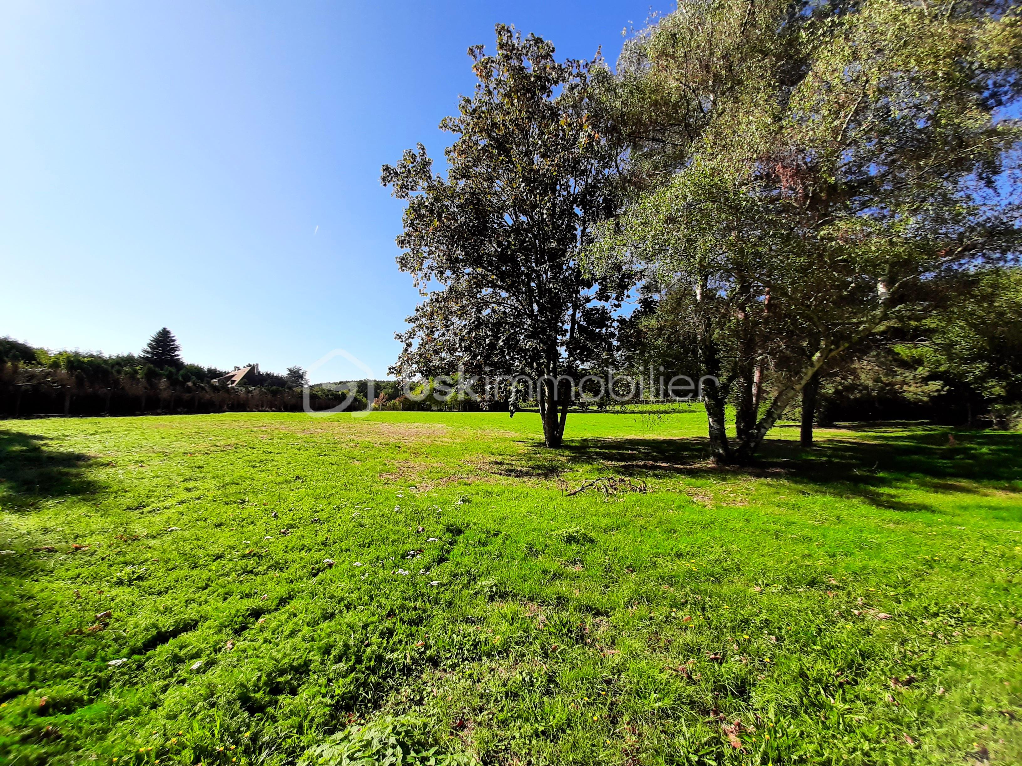 Lotissement de 4 690 m² - 20250920_064103.jpg
