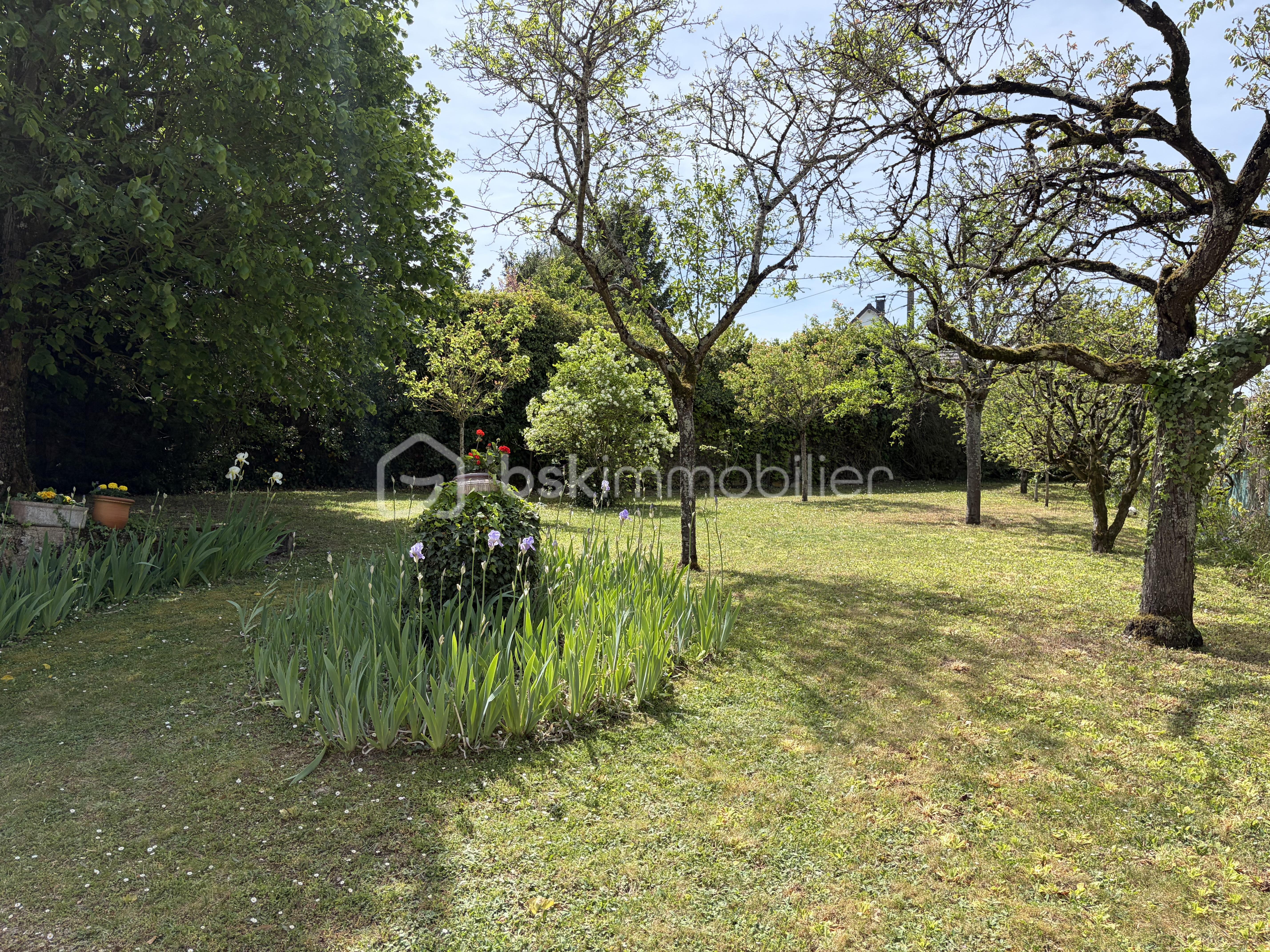 IMG_0630.jpeg