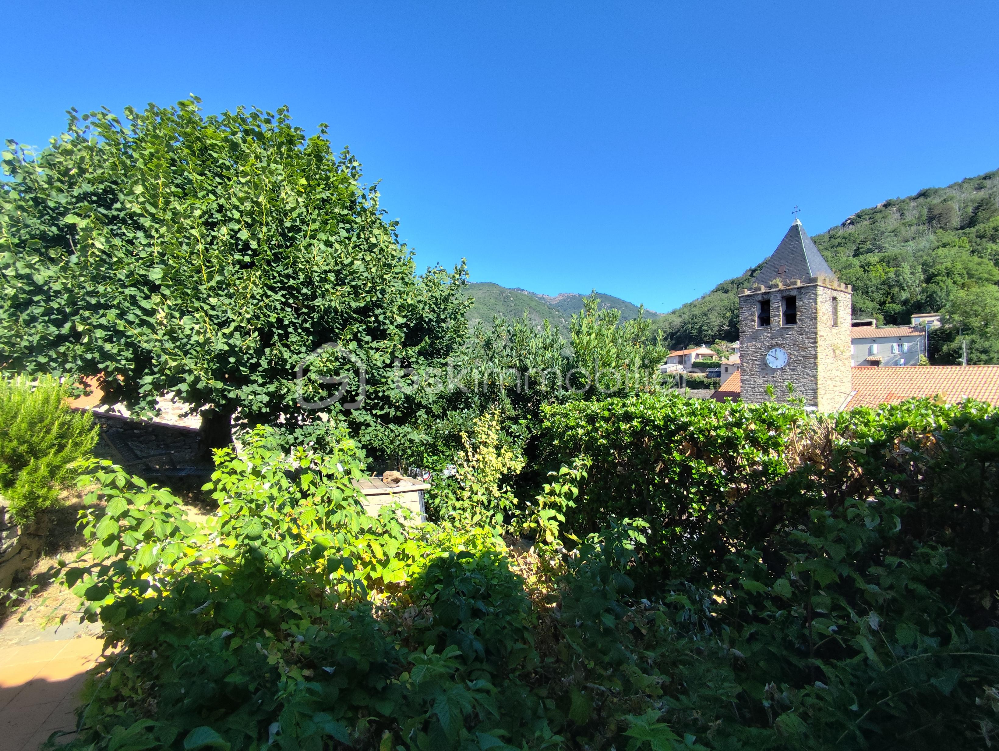 Maison provencale de 132 m² - IMG_20250709_100049.jpg