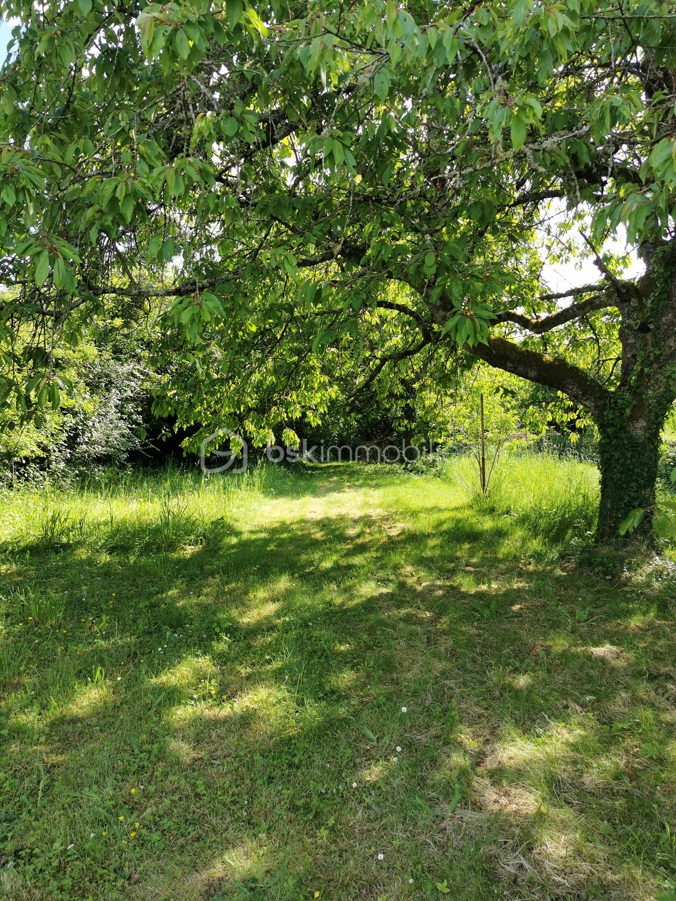 Maison de village de 67,63 m² - 2025-05-10 16.23.26.jpg