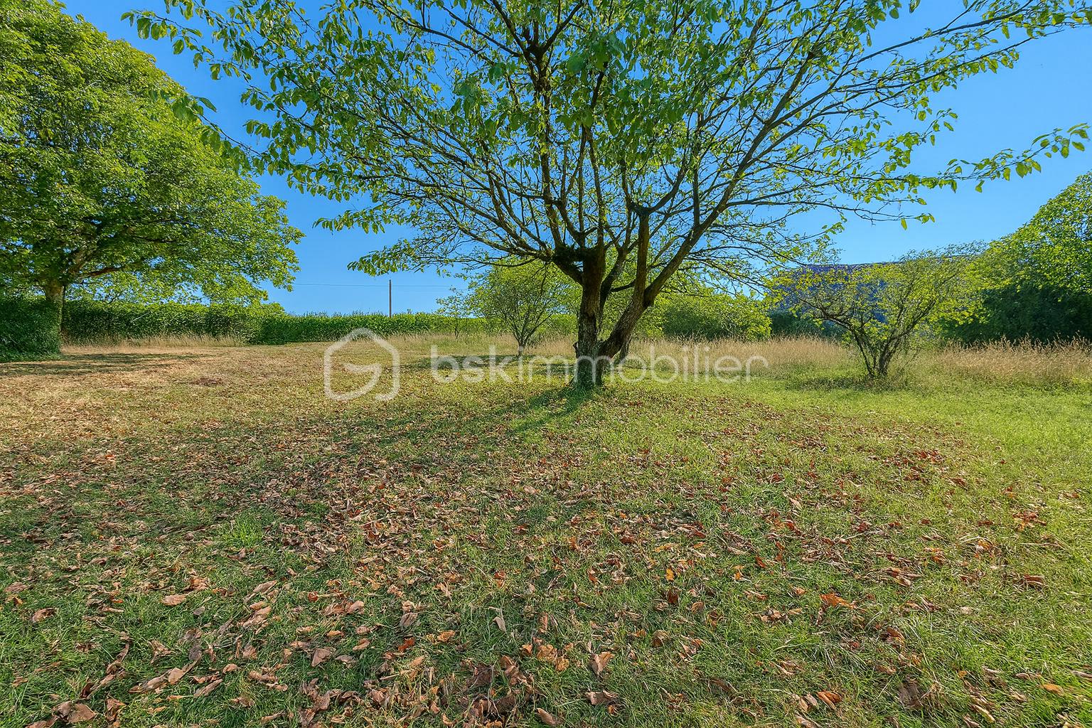 Corps de ferme de 110 m² - b2b2f891-44cd-4118-ae53-41bf79d2c13d.png