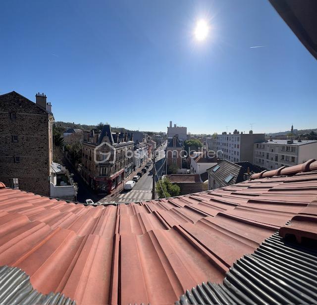 vue velux Raincy.jpg