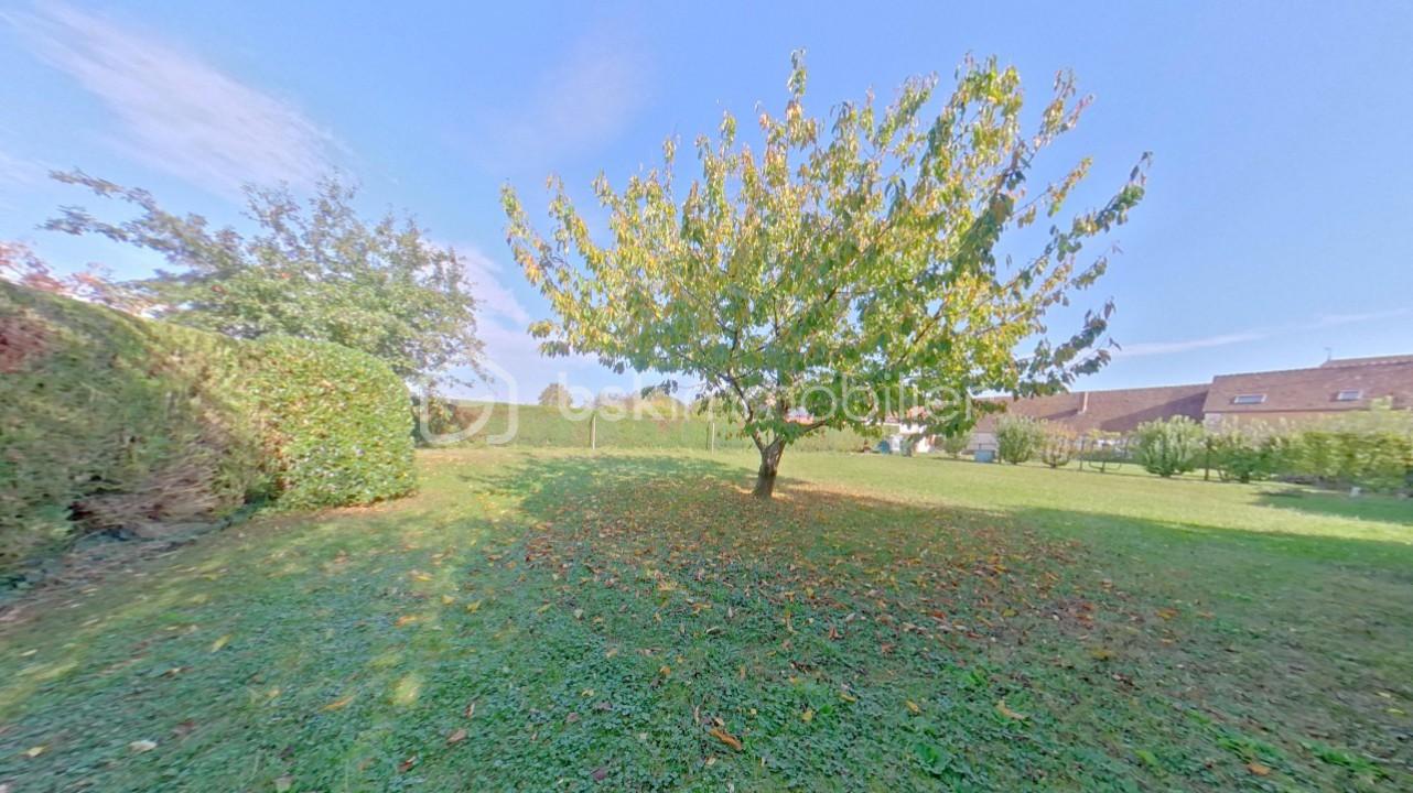 Maison de 132 m² - photo peigne 14 - Copie.jpg