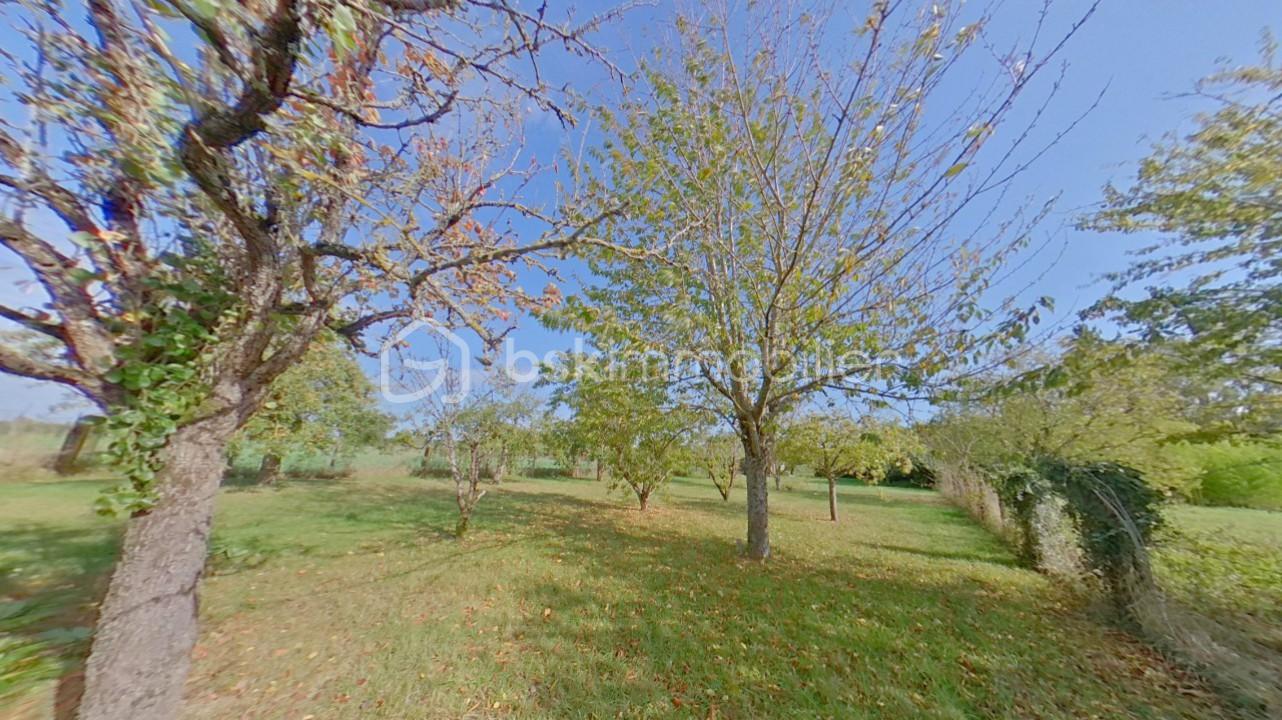 Maison de 132 m² - photo peigne 8 - Copie.jpg