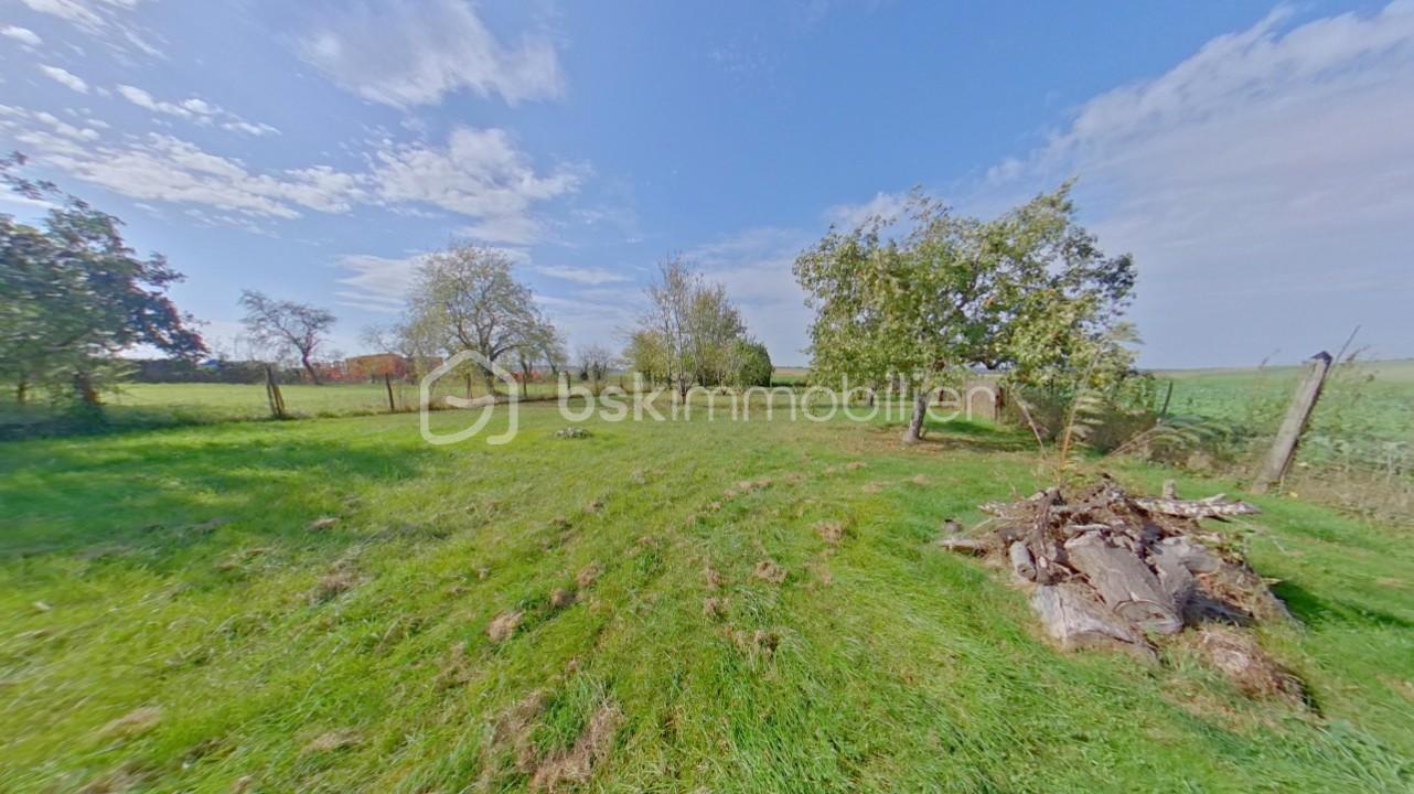 Maison de 132 m² - photo peigne 5 - Copie.jpg