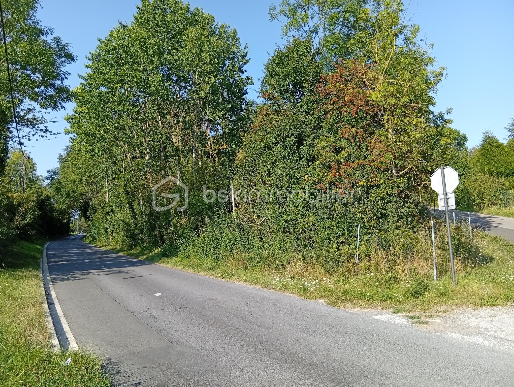 Foret de 799 m² - IMG_20250811_181525.jpg