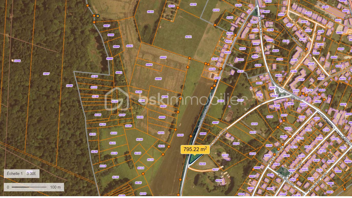 Foret de 799 m² - Vue globale.JPG