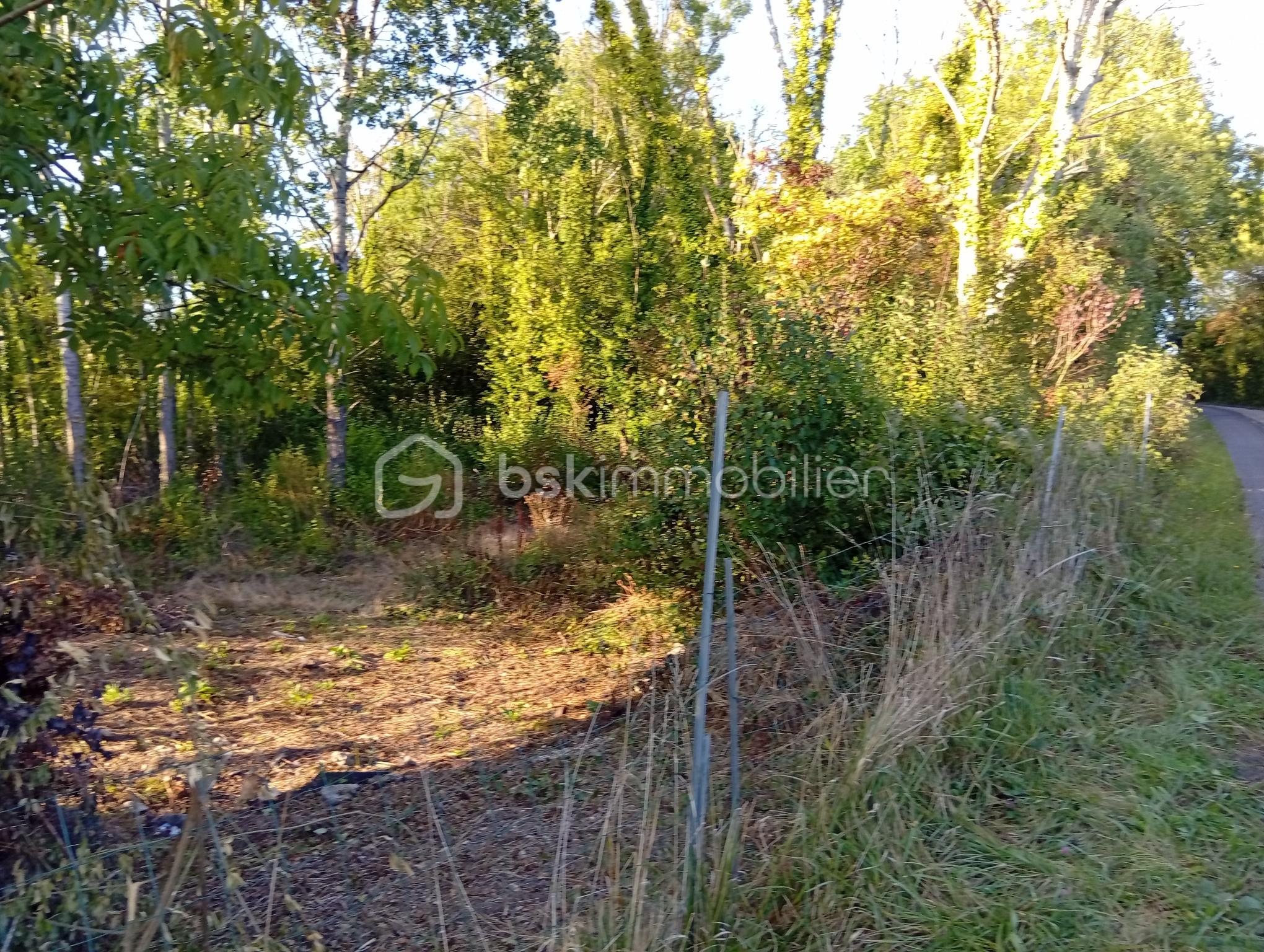 Lotissement de 799 m² - 1000001626.jpg