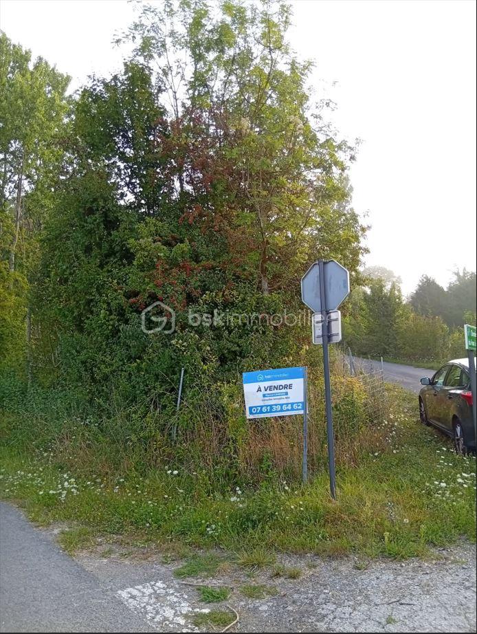 Foret de 799 m² - J achète.JPG