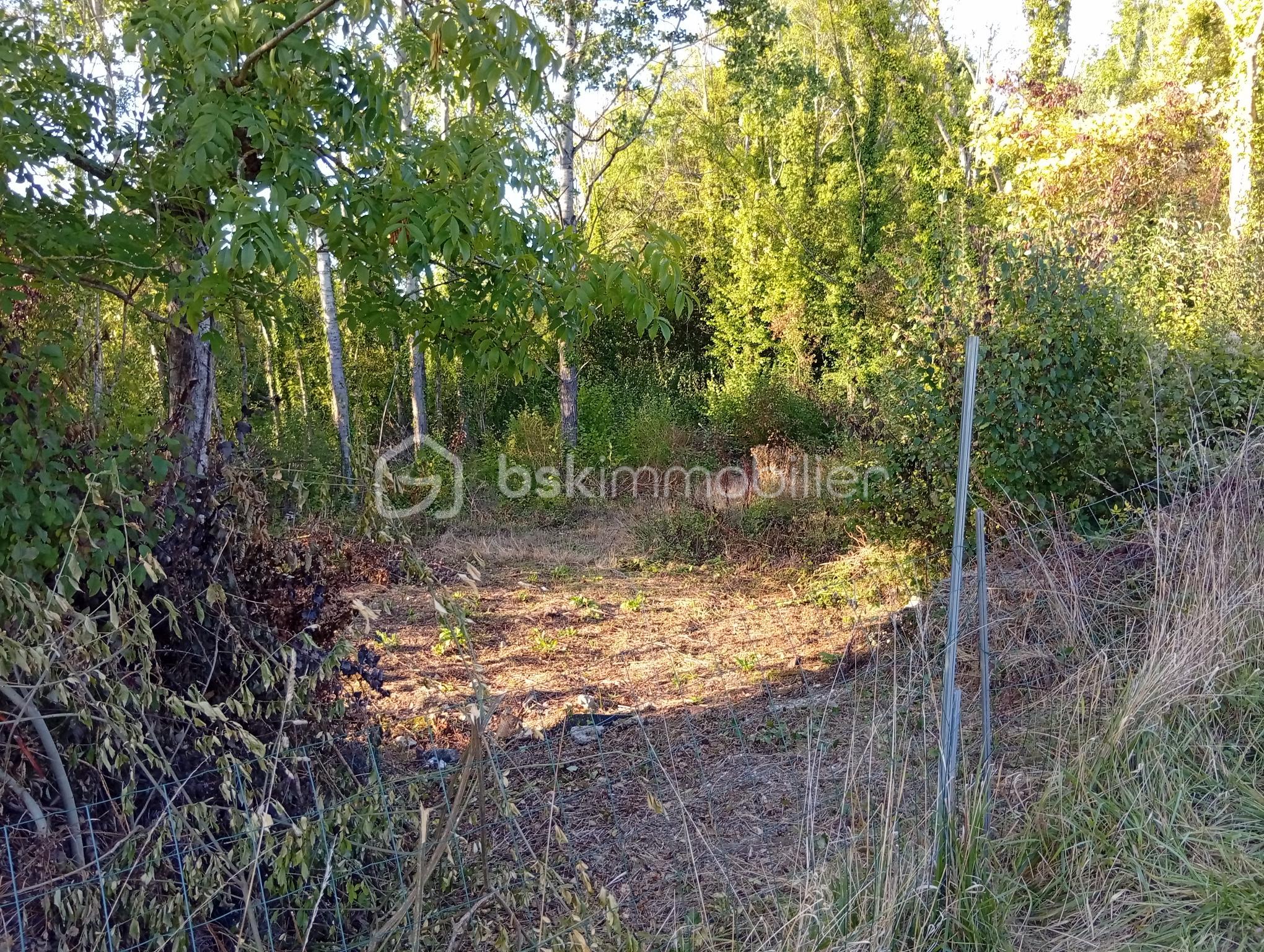 Lotissement de 799 m² - 1000001625.jpg