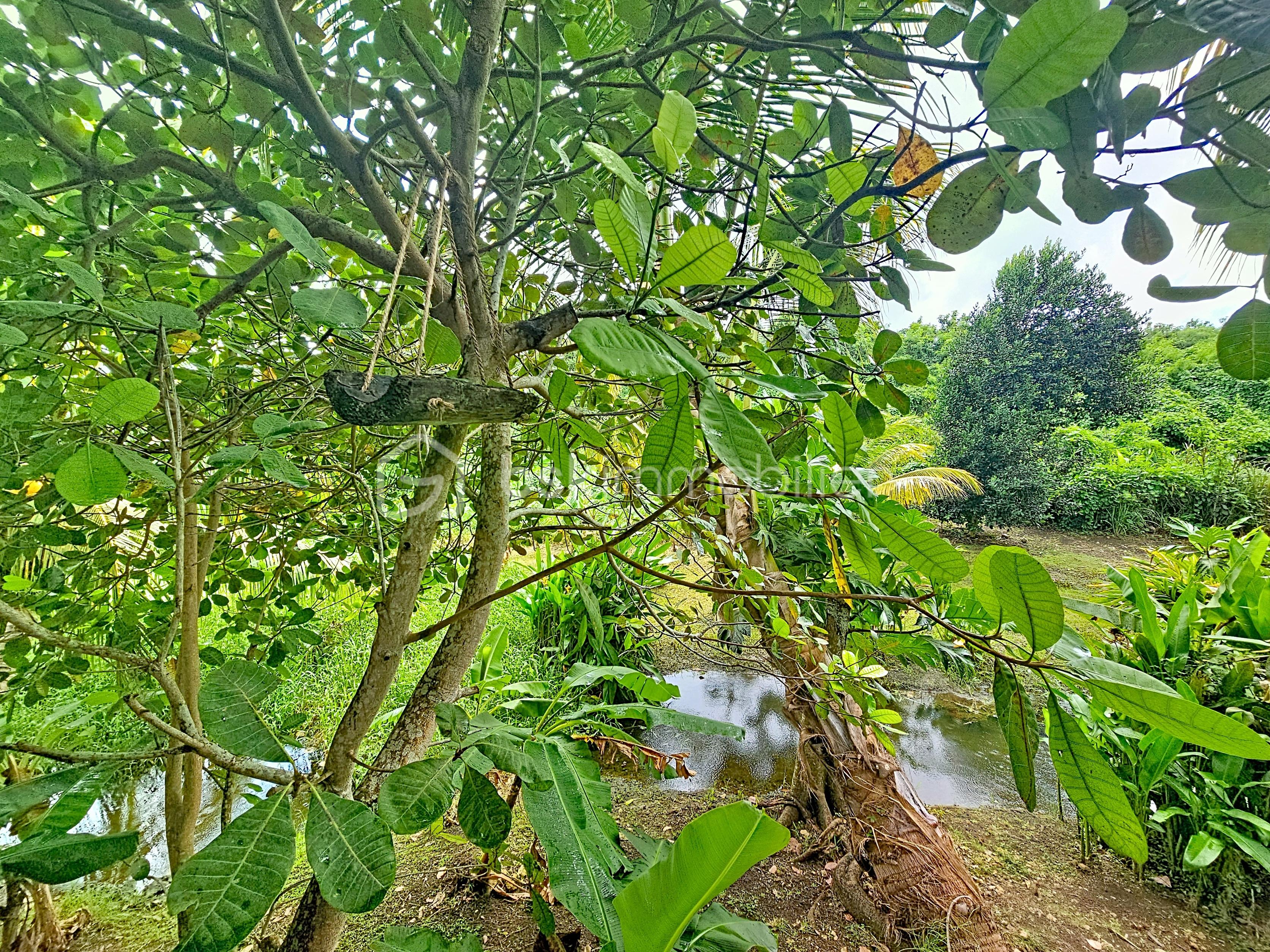 Maison de 145 m² - sinquet_00042.jpg