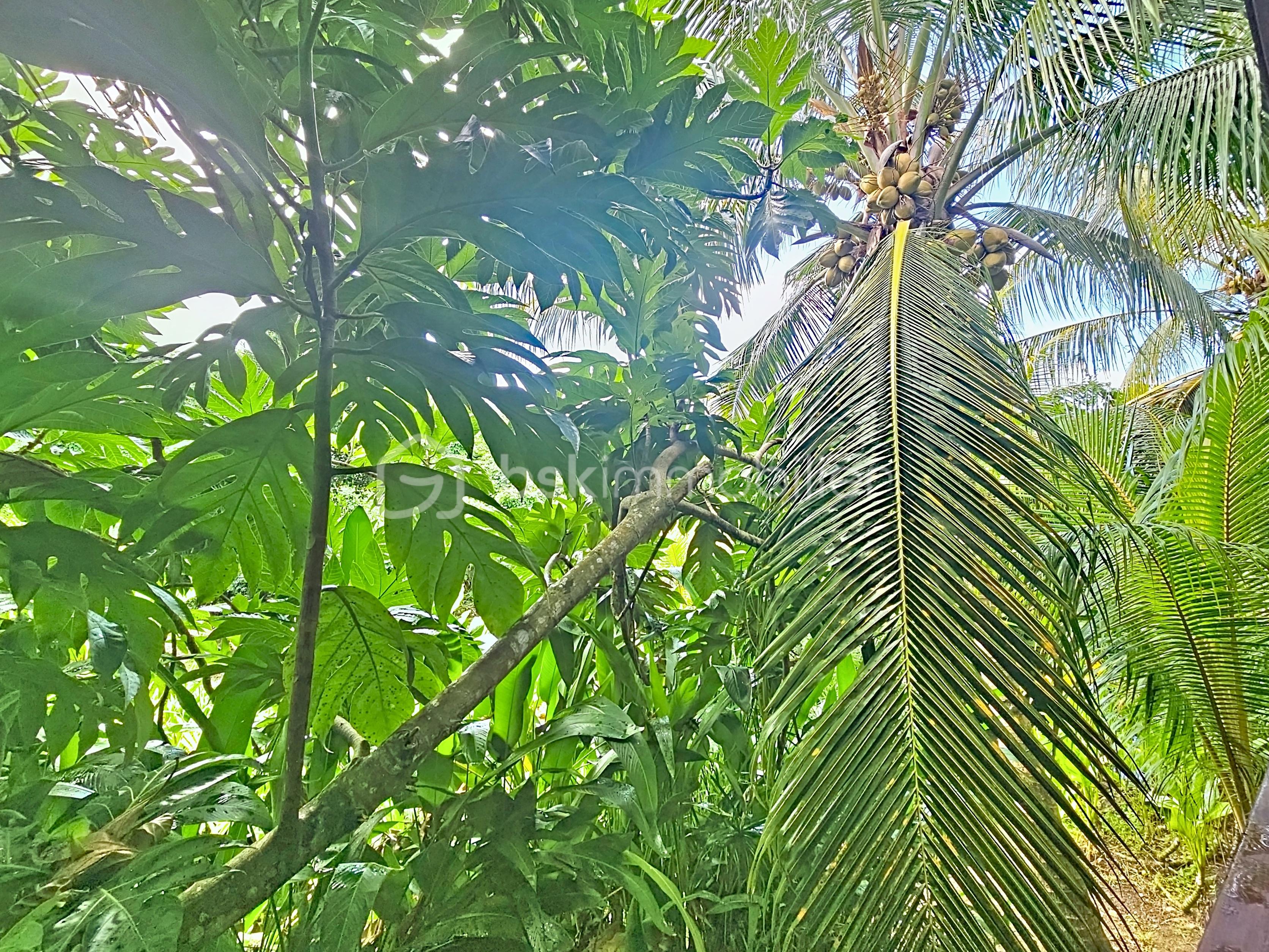 Maison de 145 m² - sinquet_00032.jpg