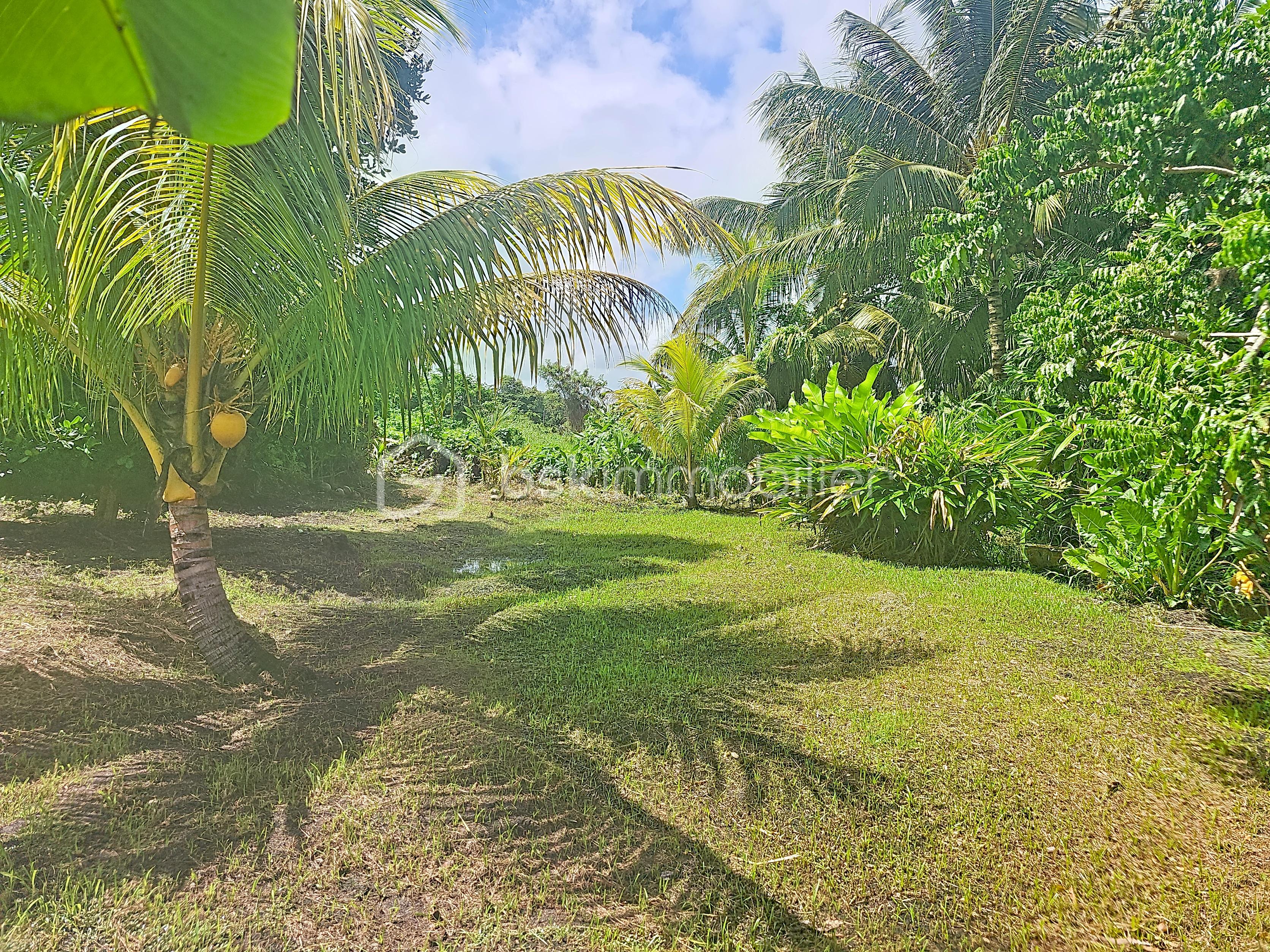 Maison de 145 m² - sinquet_00046.jpg