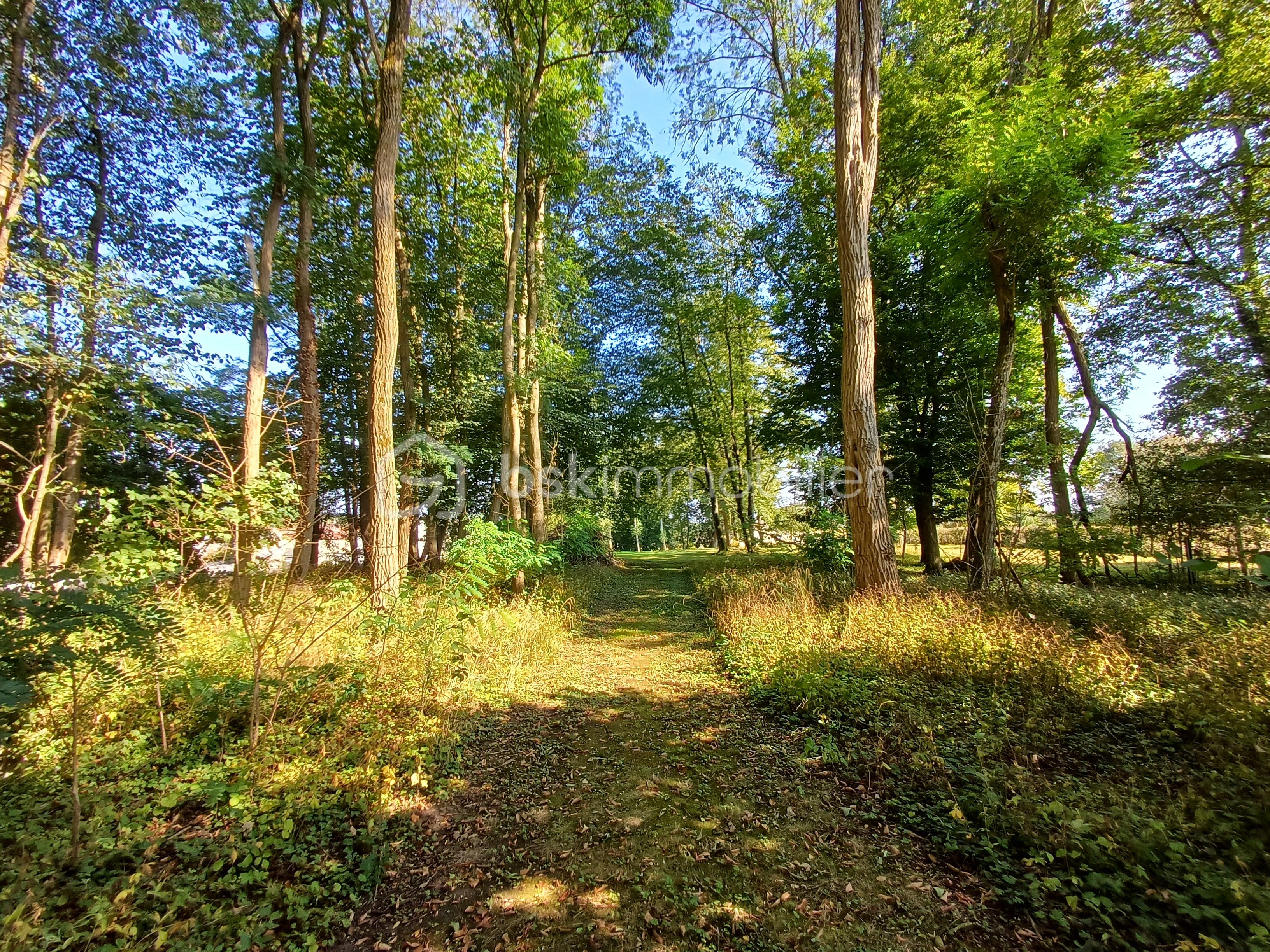 Maison de 233 m² - 20240920_143550 copie.jpg