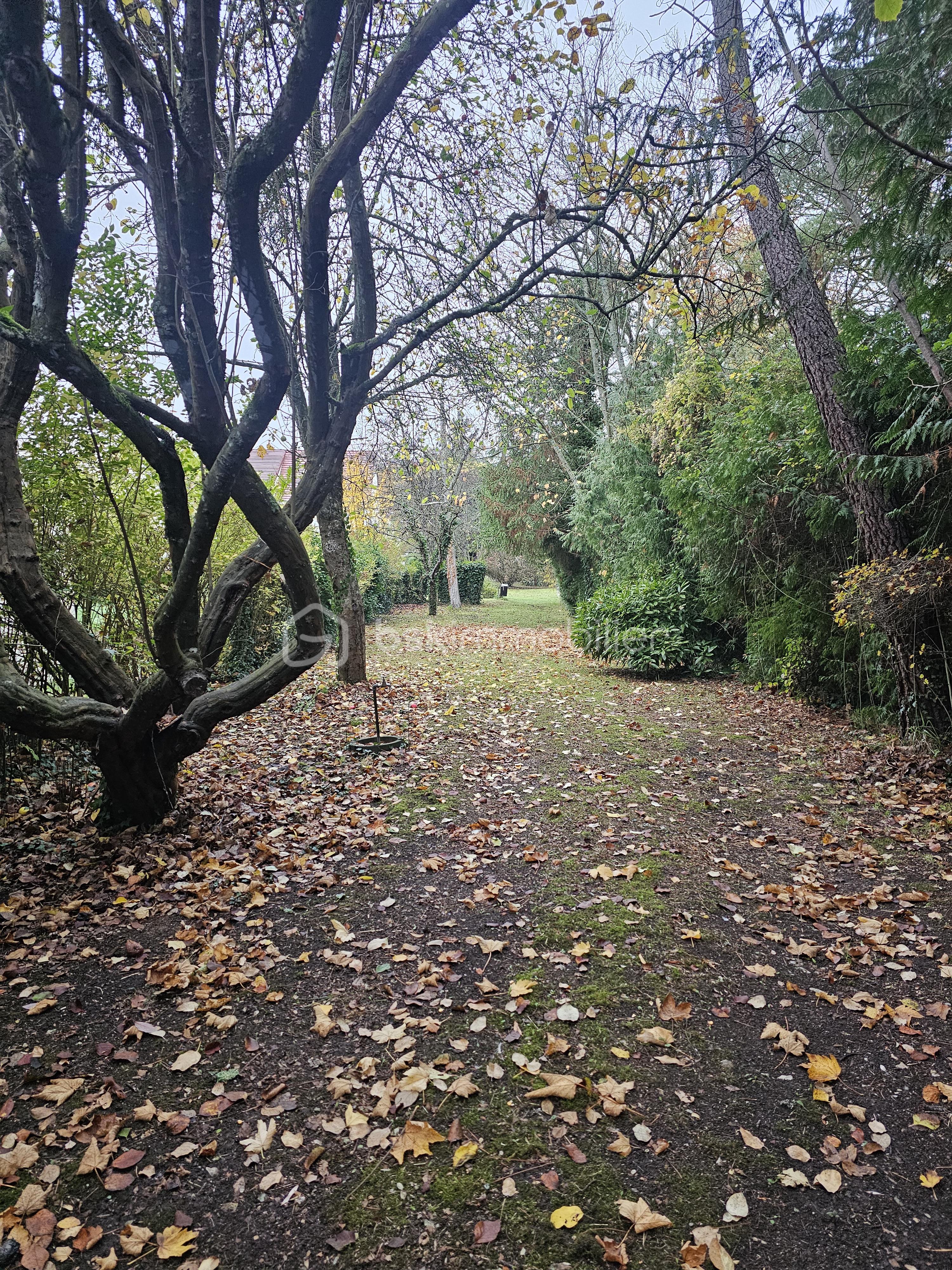 Lotissement de 997 m² - 20251107_081706.jpg