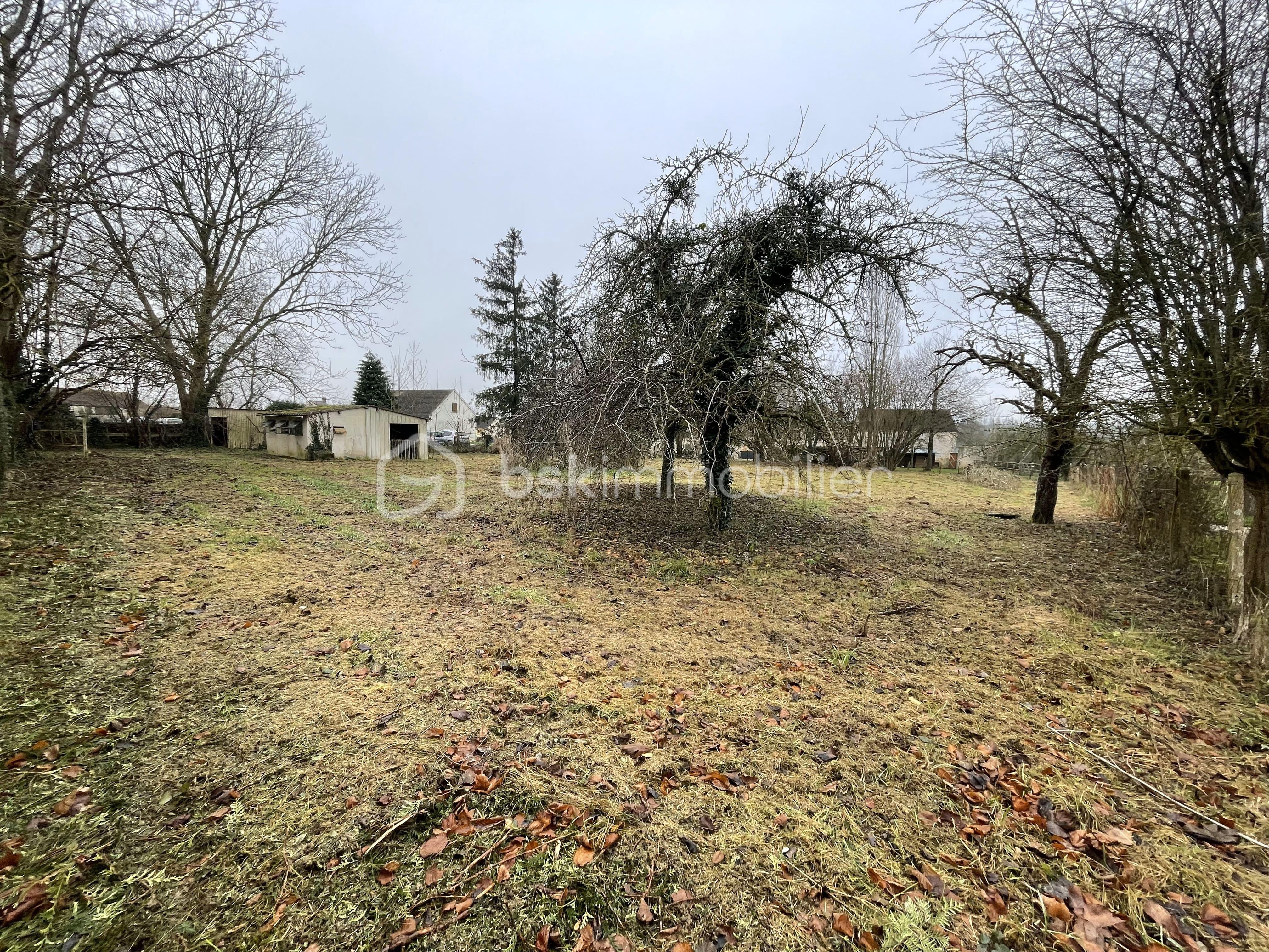 Maison de 96 m² - Terrain arrière.jpg