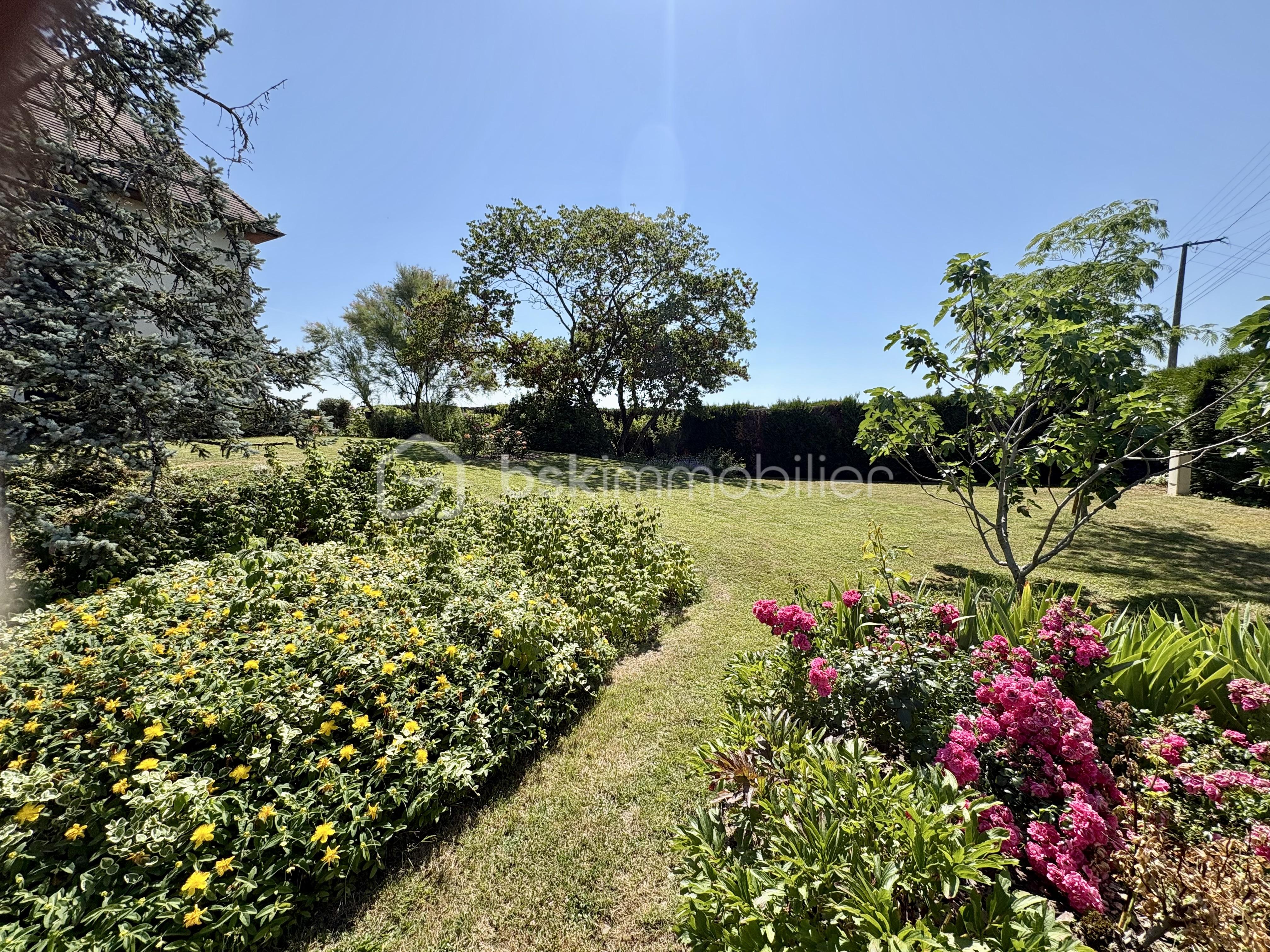 IMG_0626.jpeg