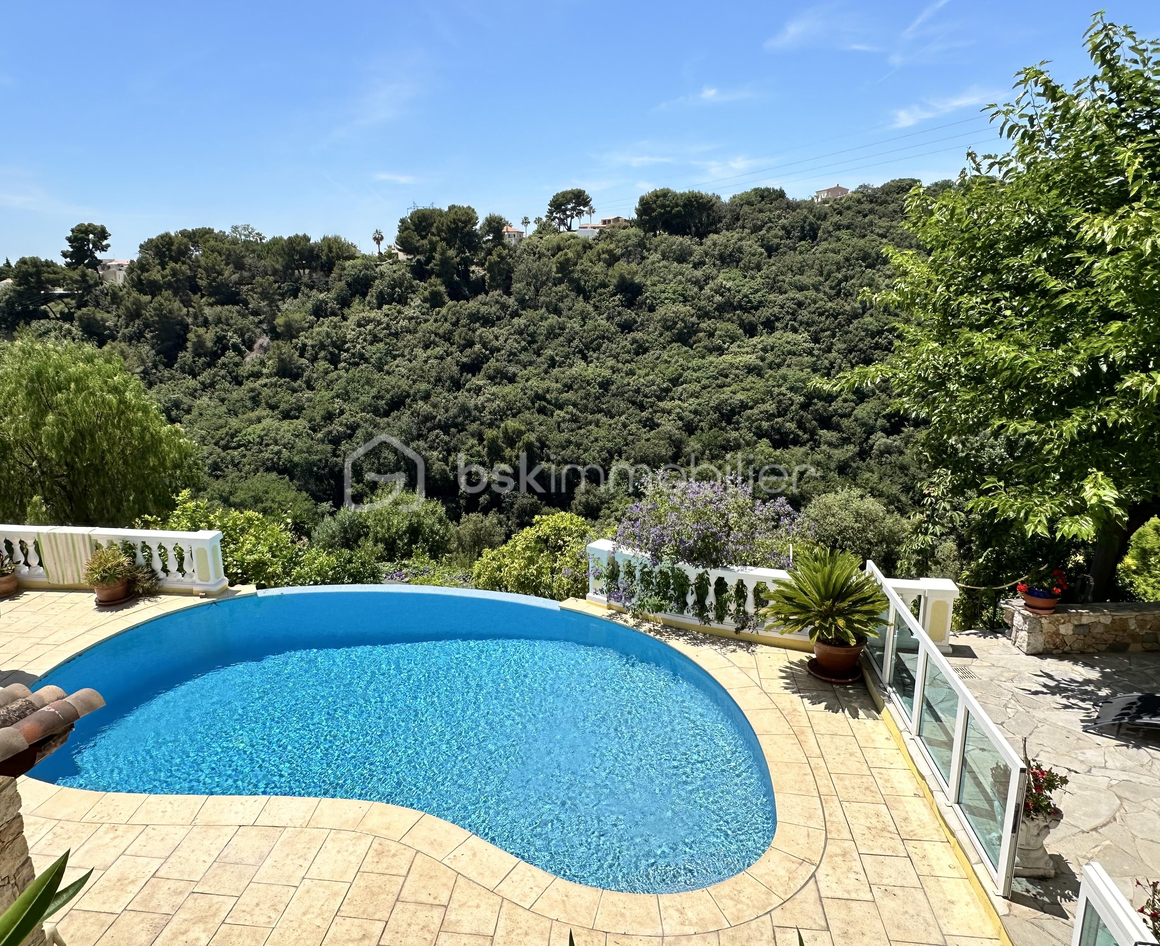 vue piscine.jpeg