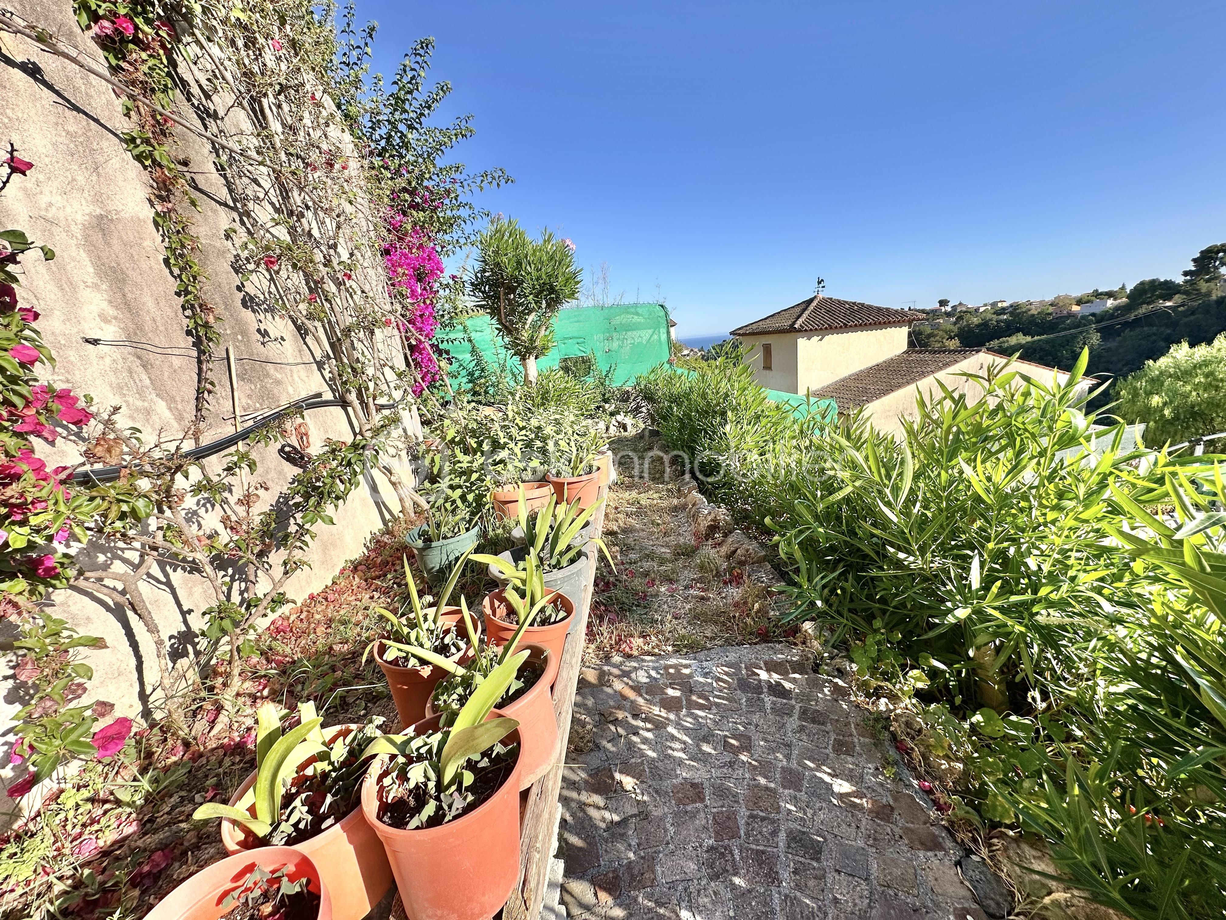 jardin.jpeg