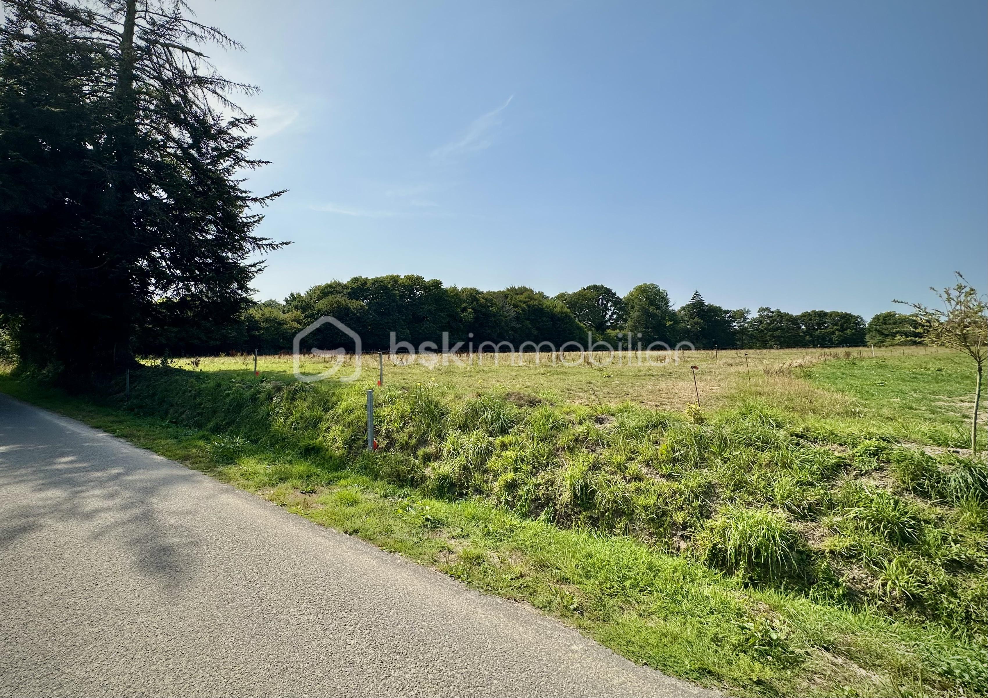 Terrain de 1 755 m² - IMG_6560.jpeg