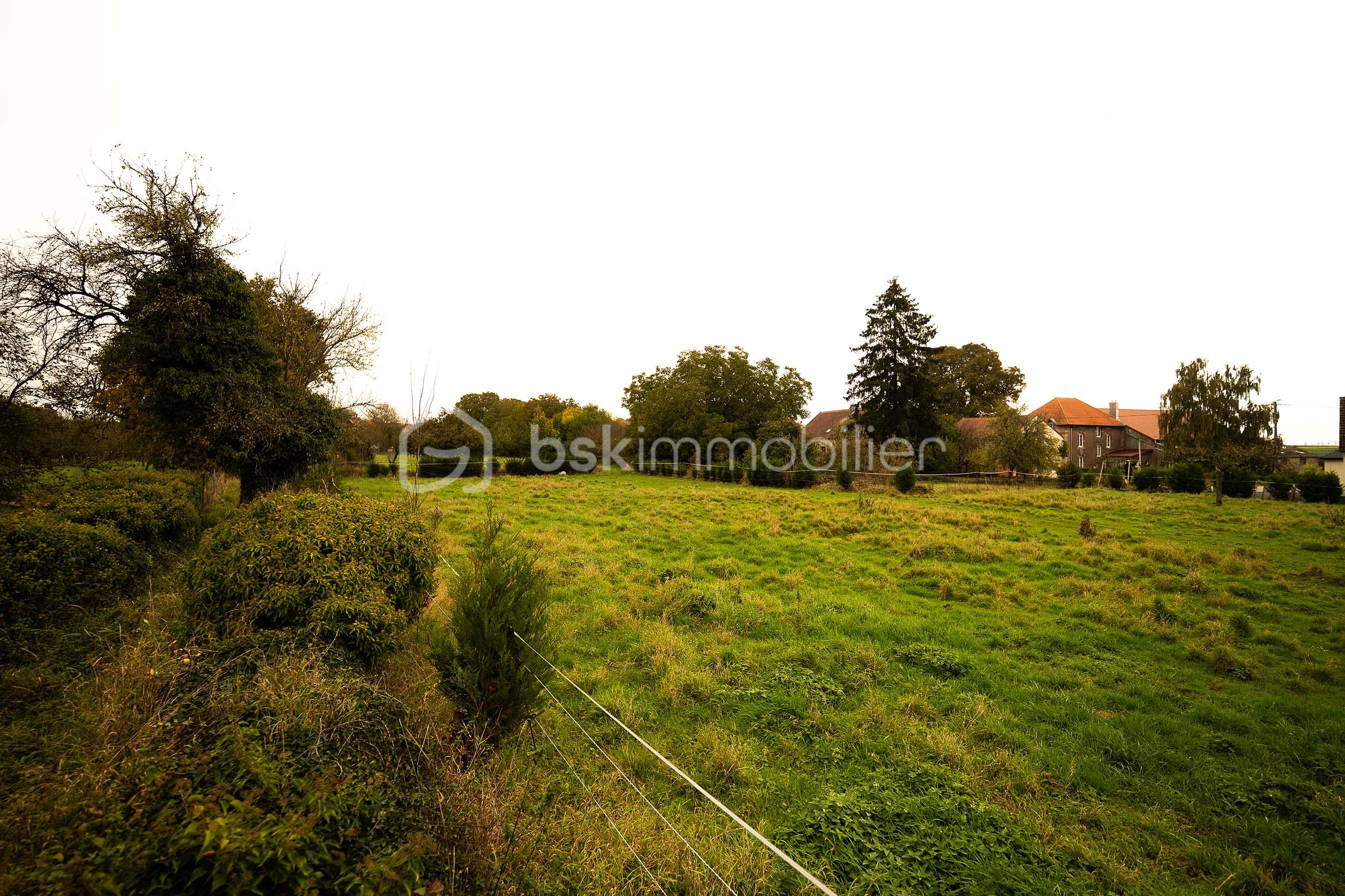 Terrain de 1 235 m² - Parcelle 1235_1 FB.jpg