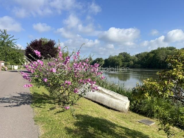 BORD DE SEINE 4.jpg