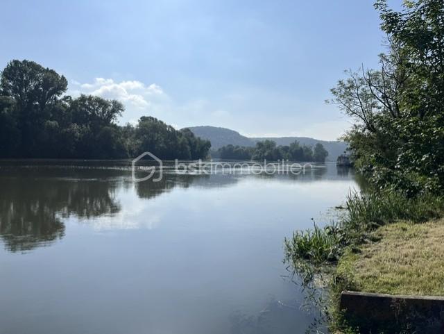 BORD DE SEINE 2.jpg