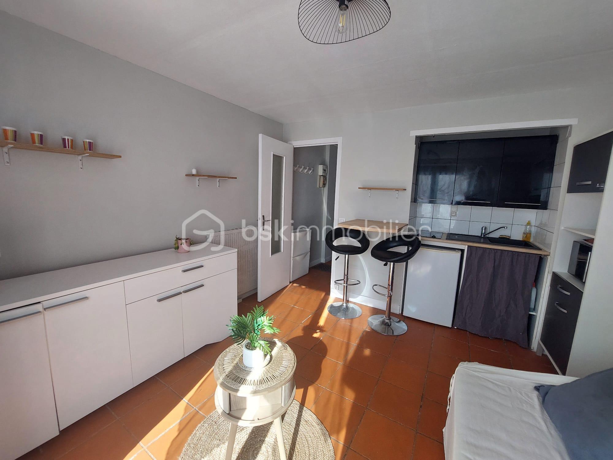 Studette de 16,89 m² - pièce de vie 4.jpeg