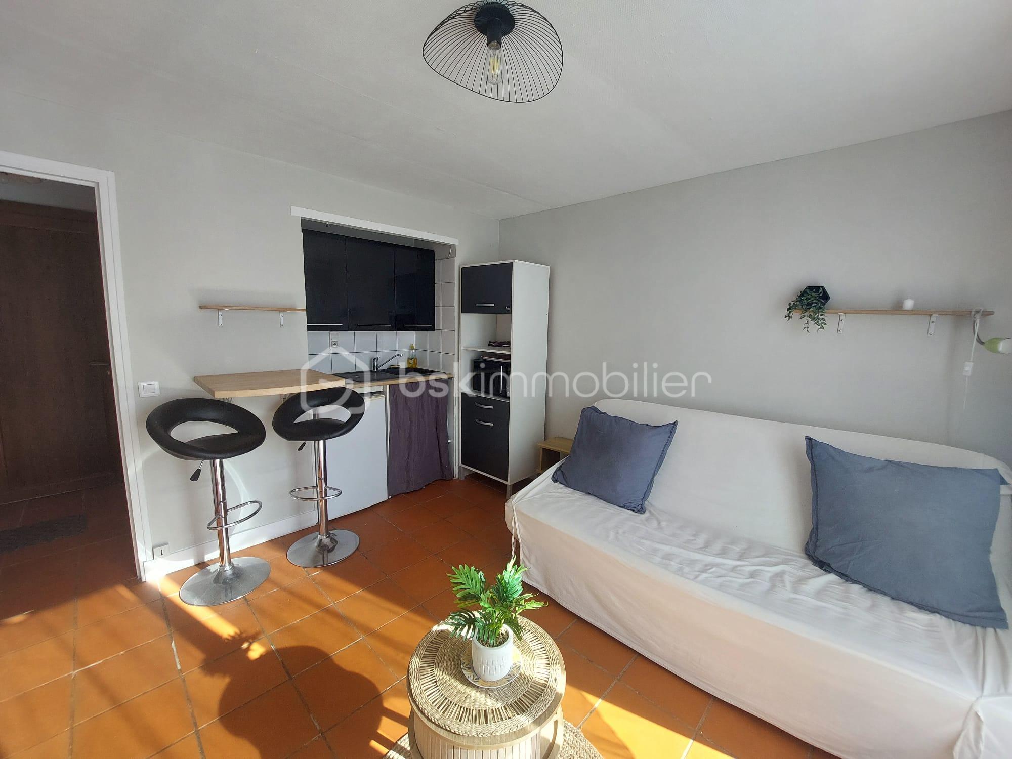 Studette de 16,89 m² - pièce de vie.jpeg