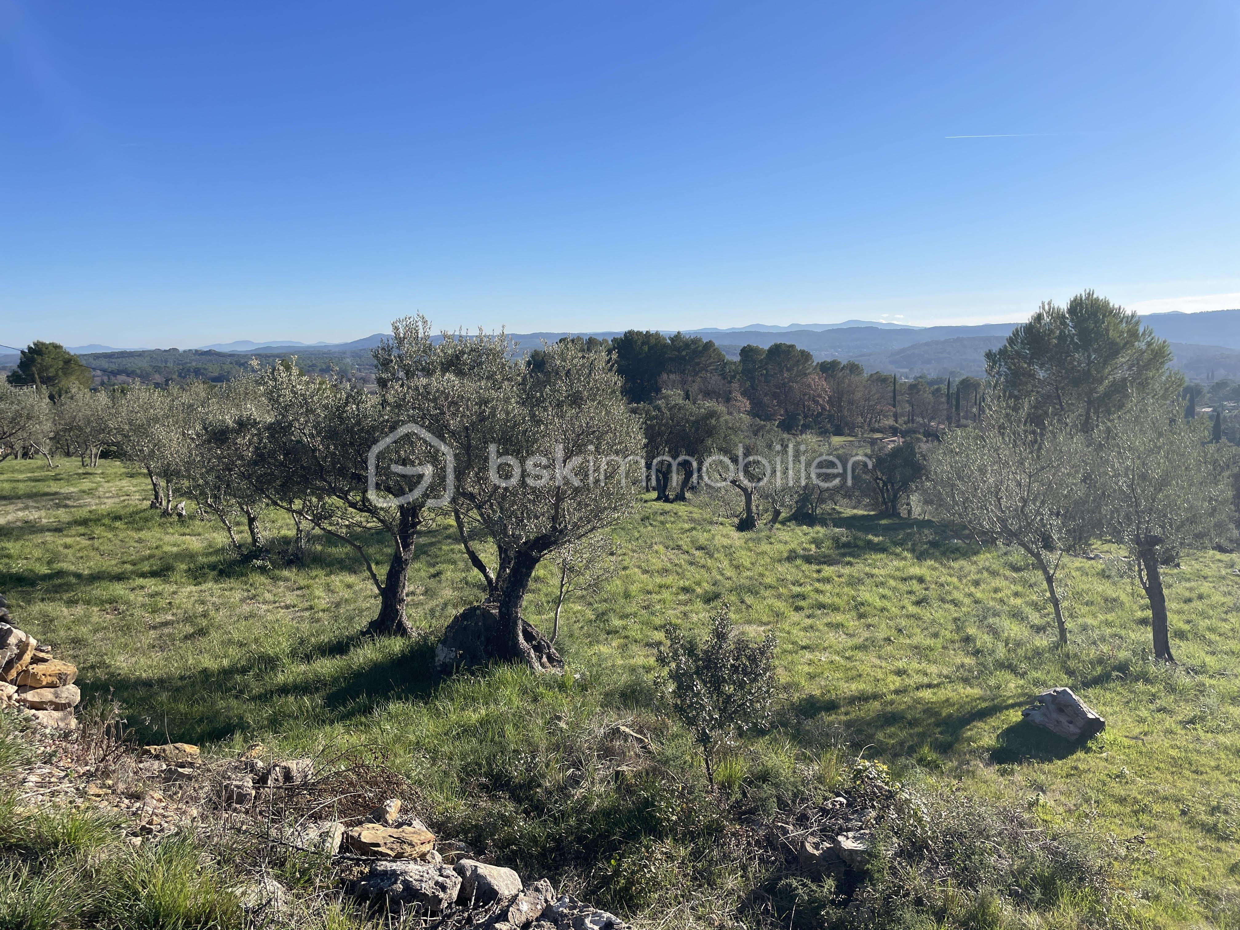 Terrain de 4 800 m² - 4.jpg