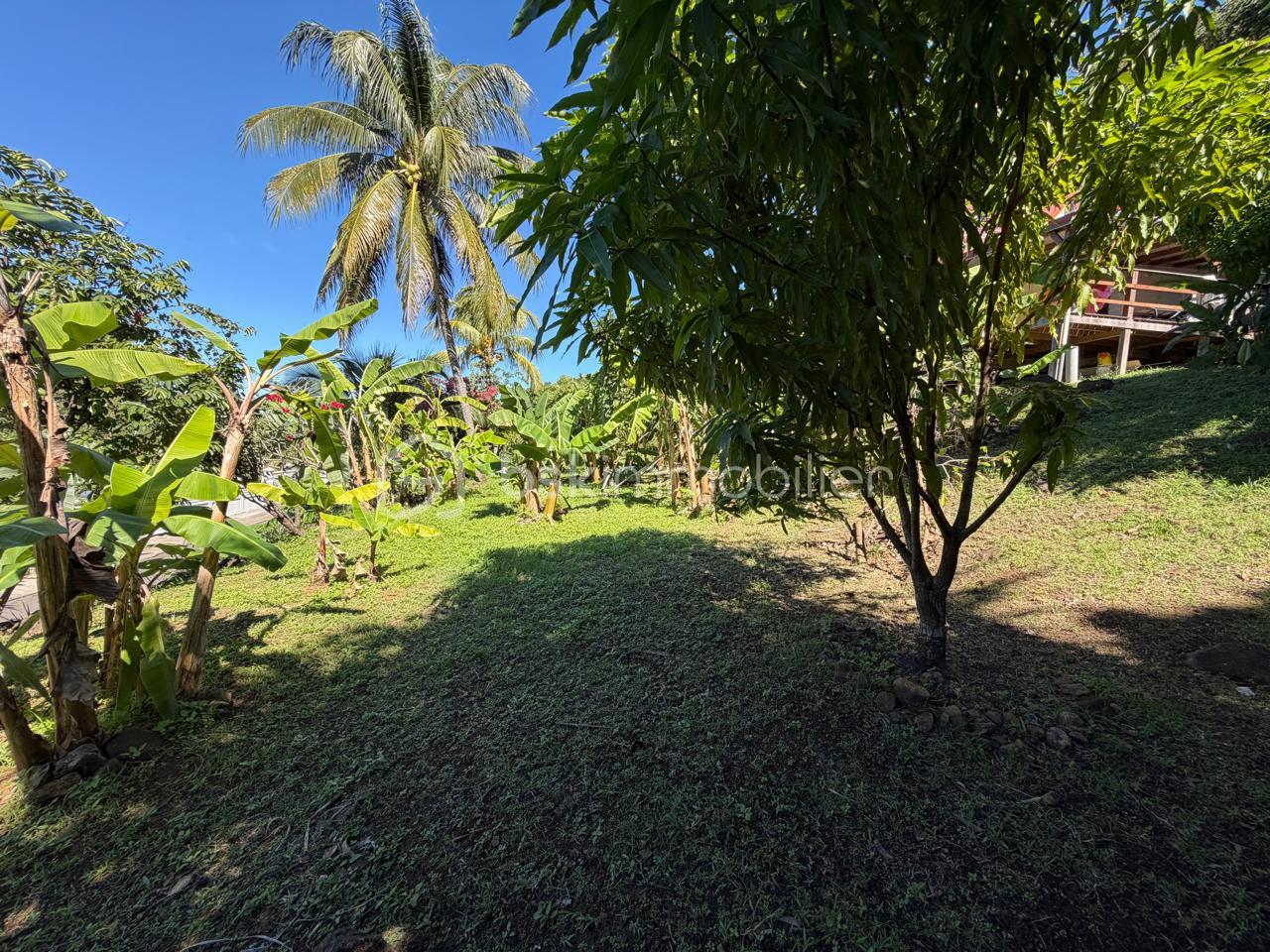 WhatsApp Image 2026-01-03 at .jpg