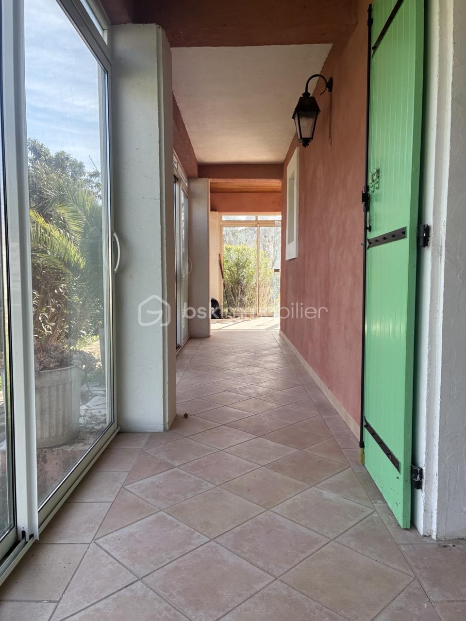 IMG_1515 Grande.jpeg