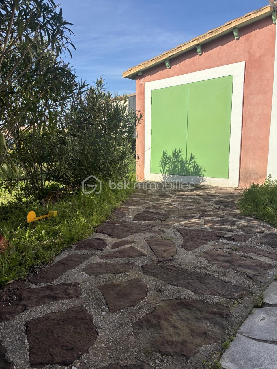 IMG_1541 Grande.jpeg