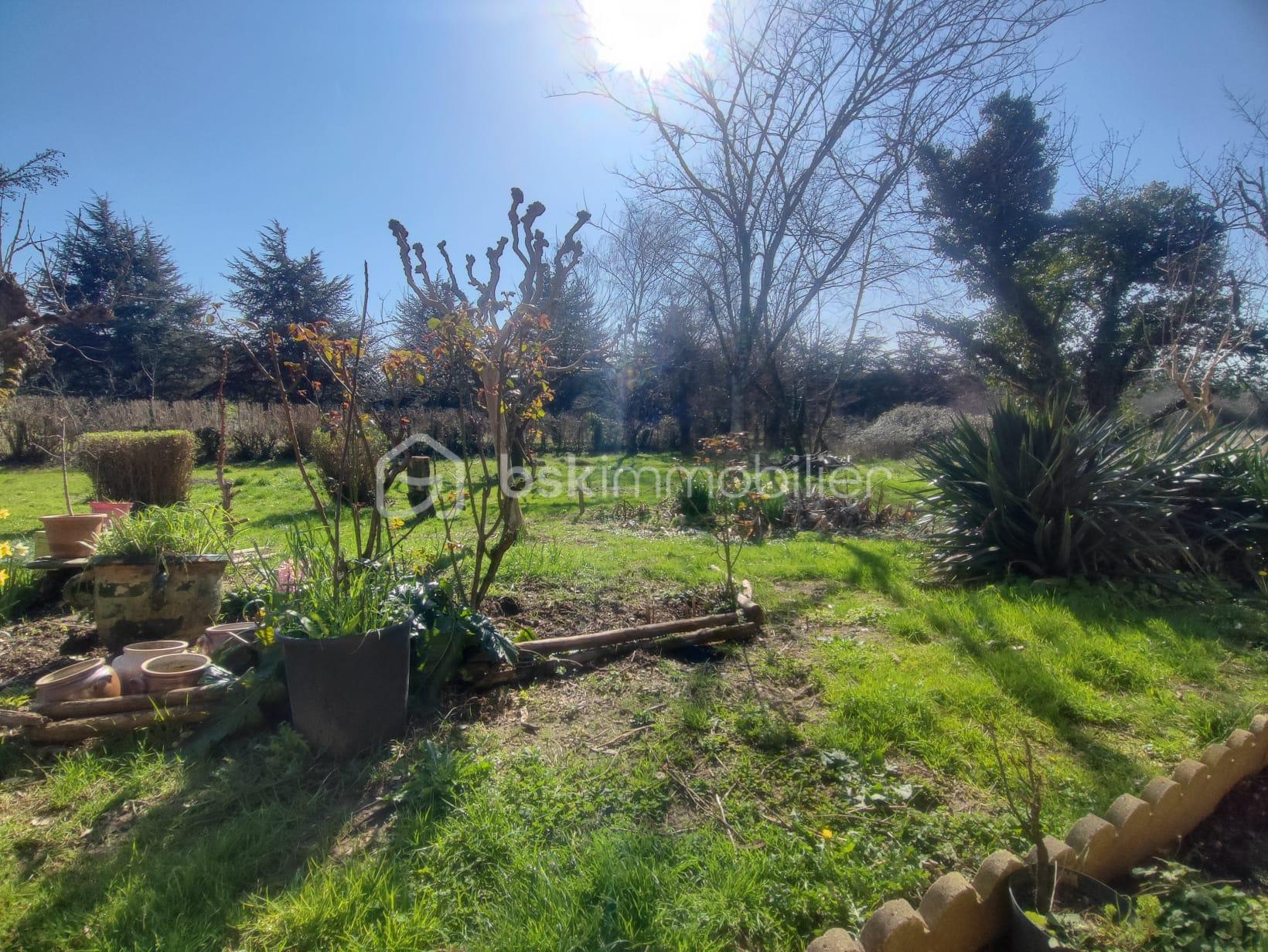 WhatsApp Image 2026-03-07 at 16.55.47.jpeg