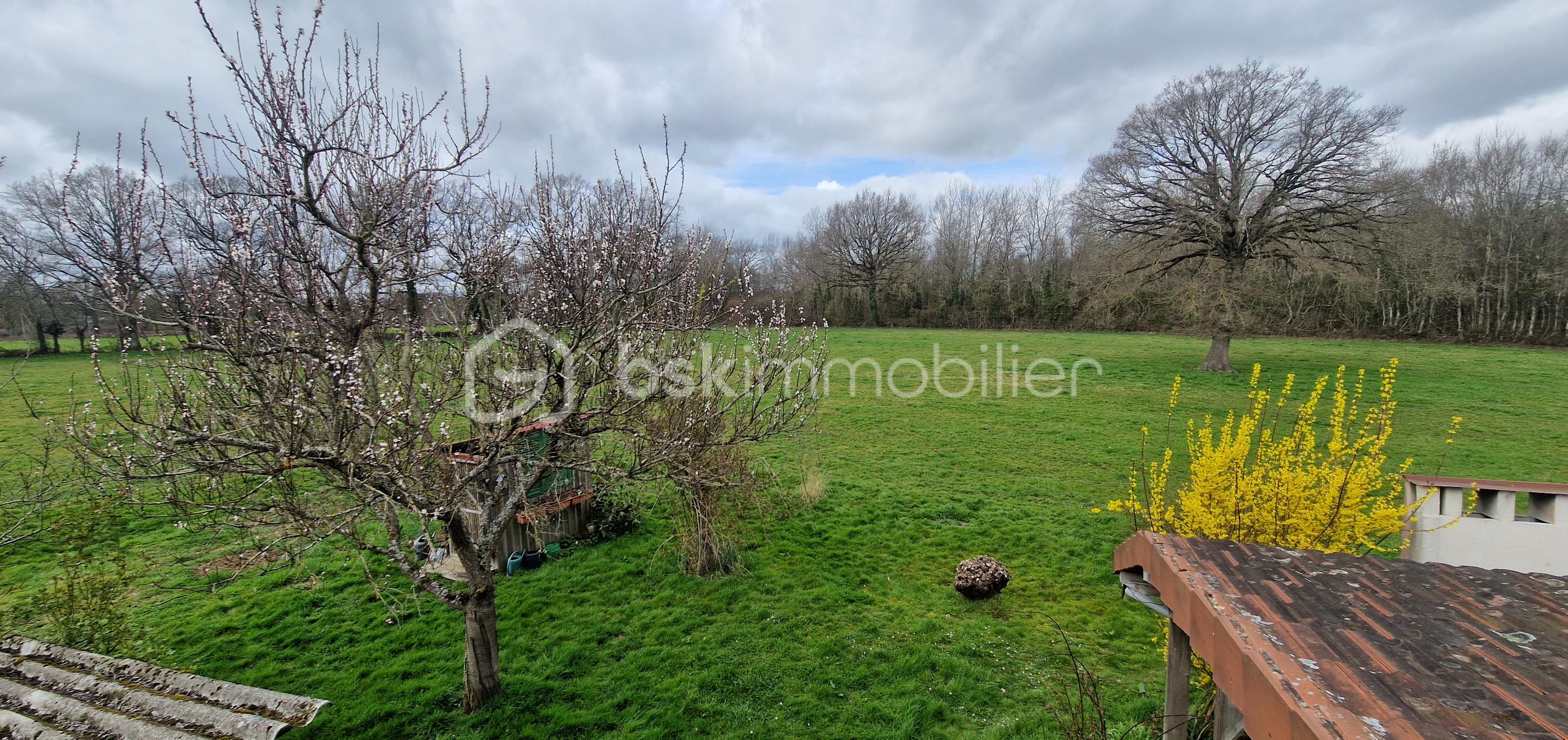 Maison longere de 275 m² - JARDIN.jpg