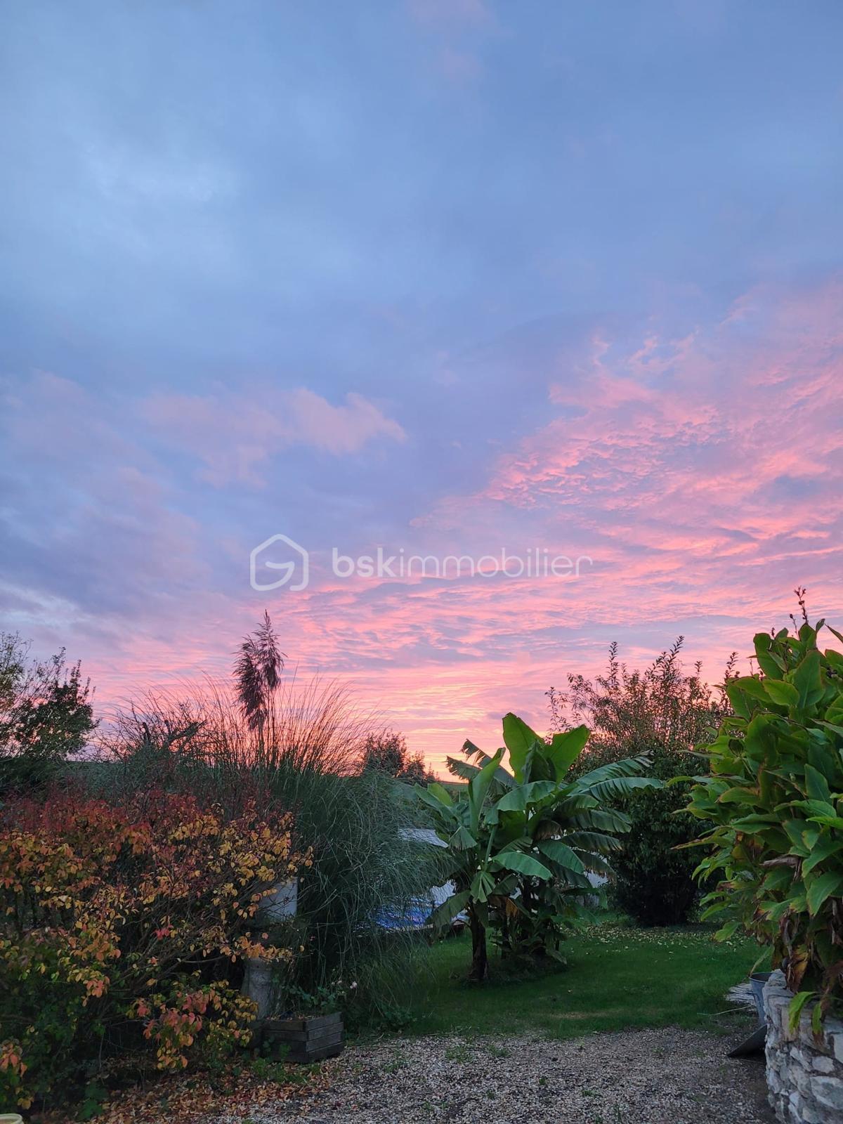 WhatsApp Image 2026-03-10 at 11.36.23.jpeg