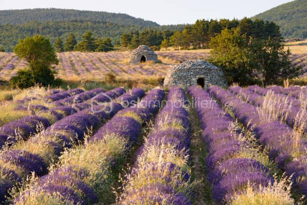 Domaine de 2 360 m² - photo 3.jpg