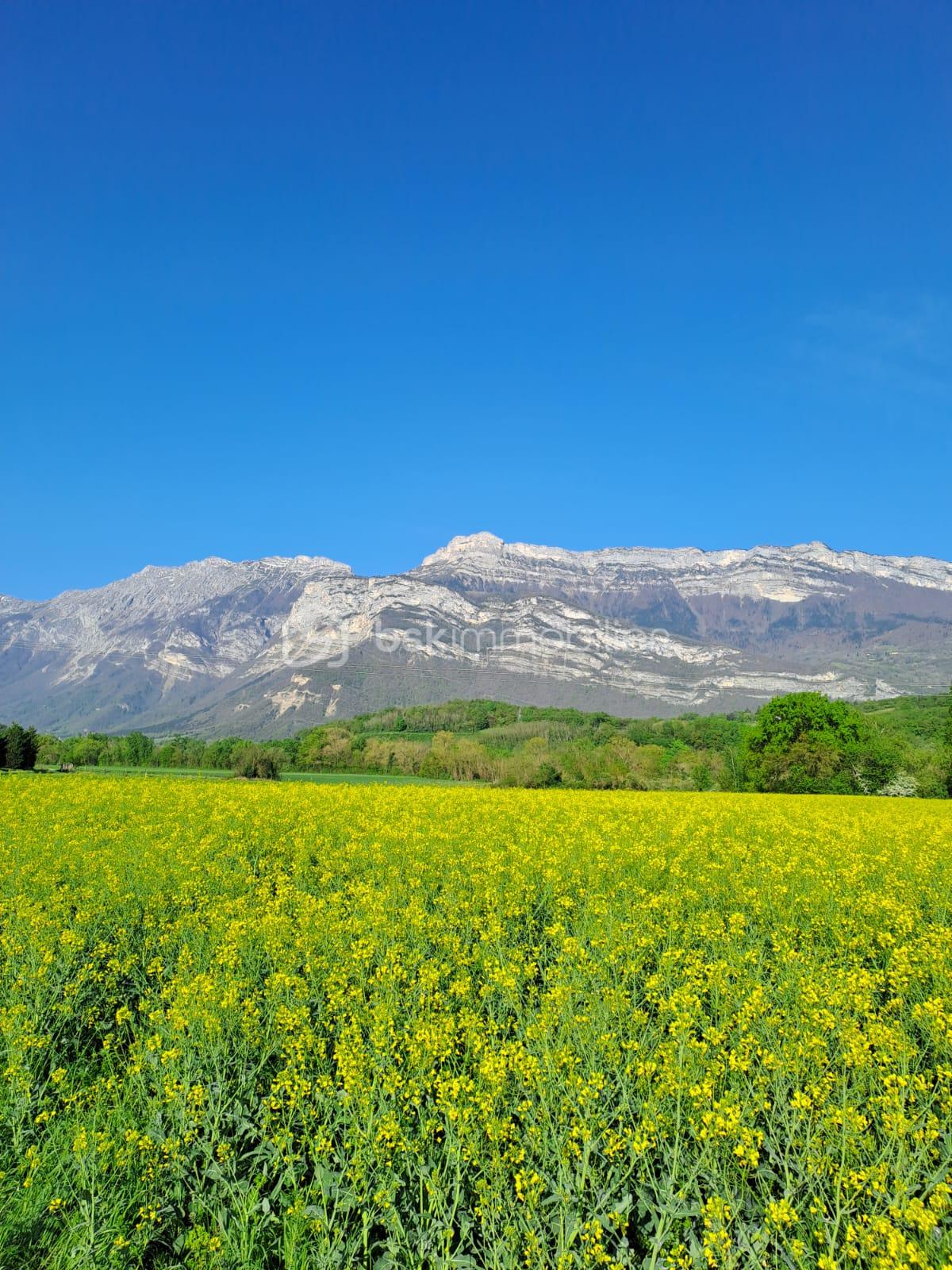 WhatsApp Image 2026-03-13 at 15.57.53.jpeg