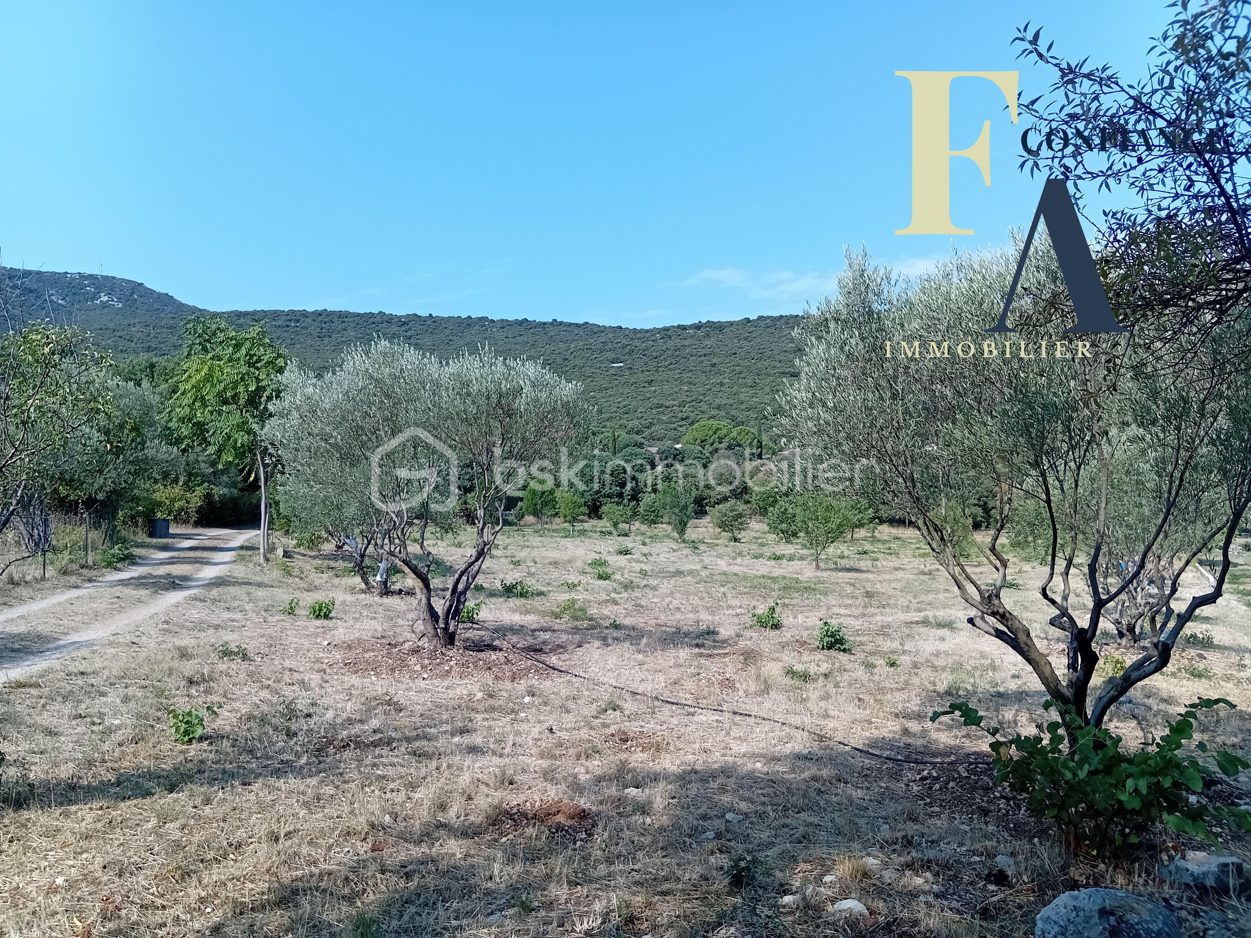 Terrain de 863 m² - 8.jpg