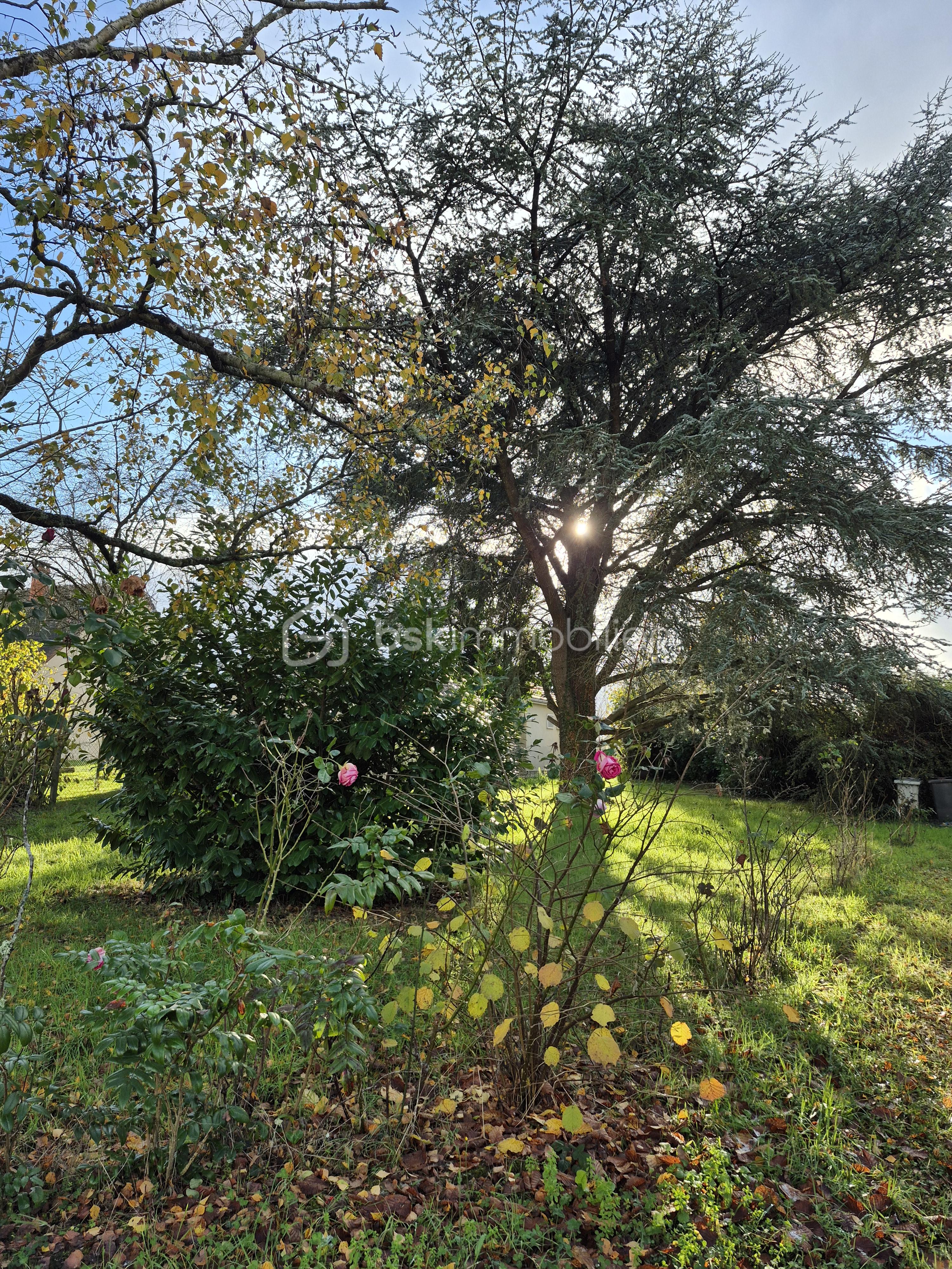 Maison de 162 m² - 20251120_150656.jpg