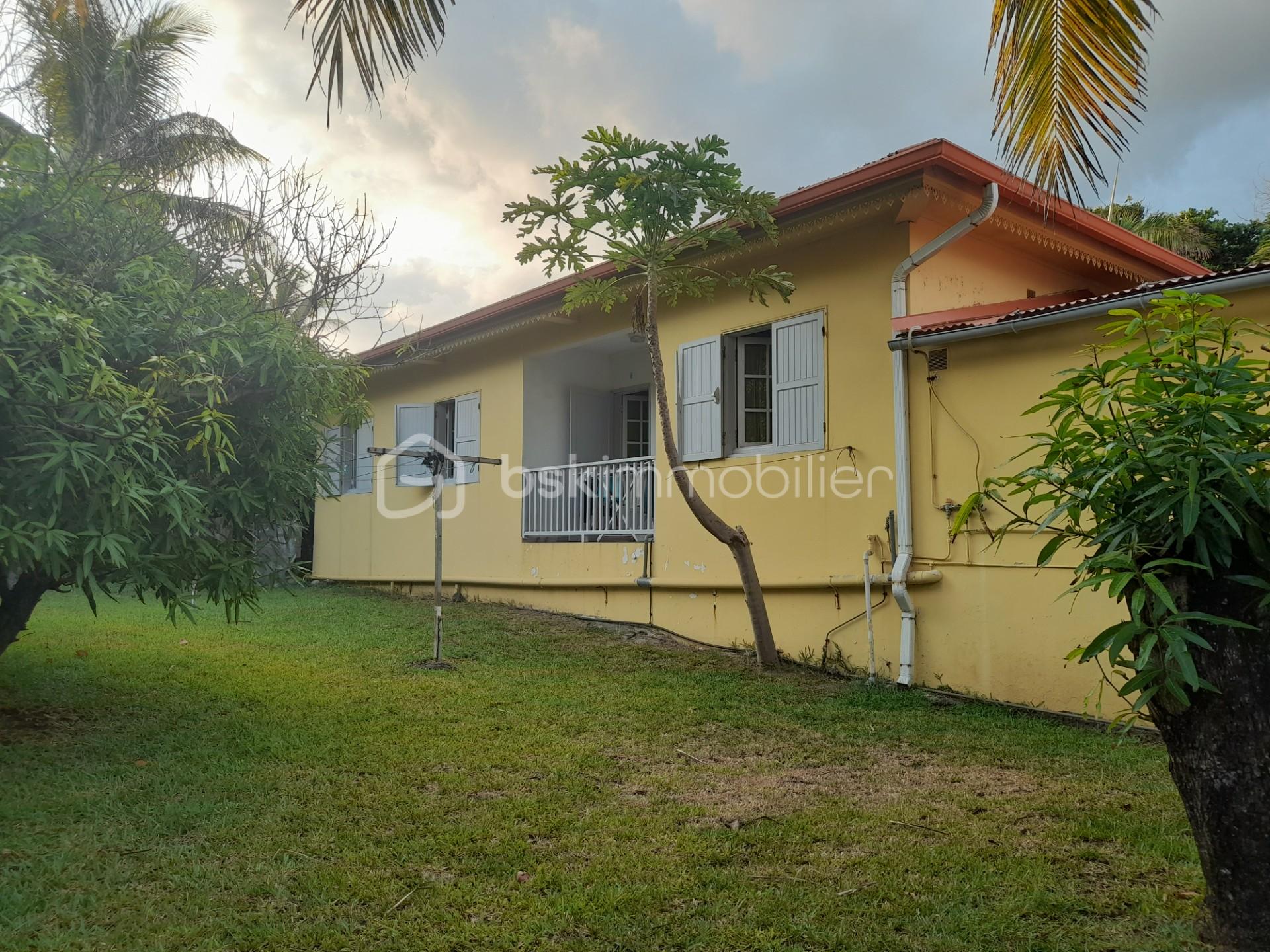 maison vue arrière.jpg