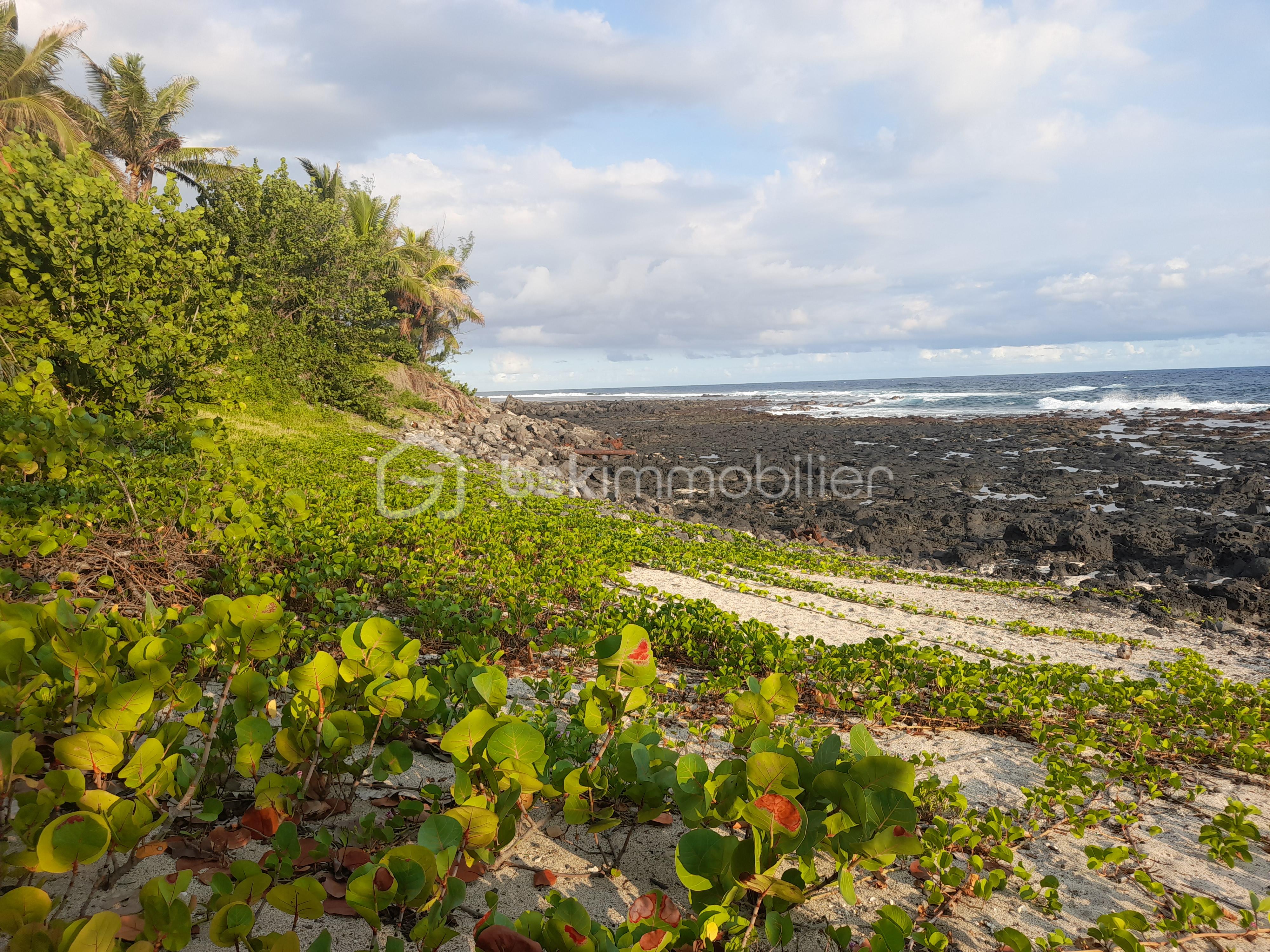 plage privée.jpg