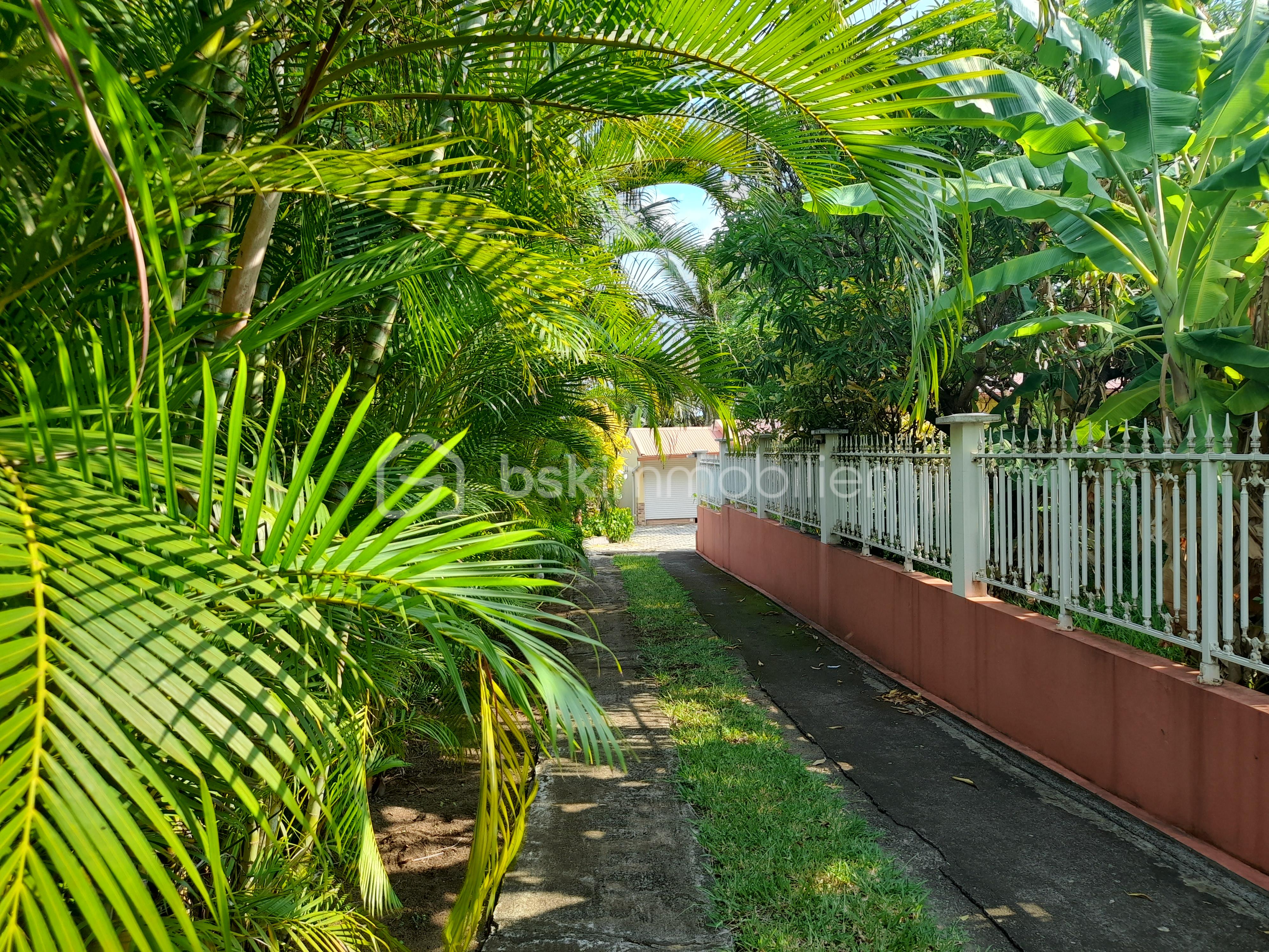 allée entrée.jpg