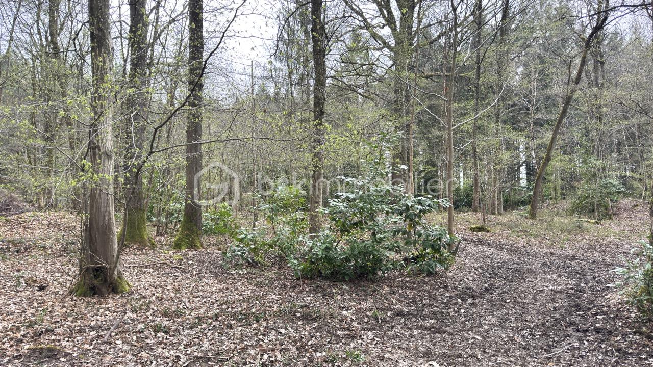 Terrain de loisirs de 96 594 m² - IMG_7139 - Grande.jpeg